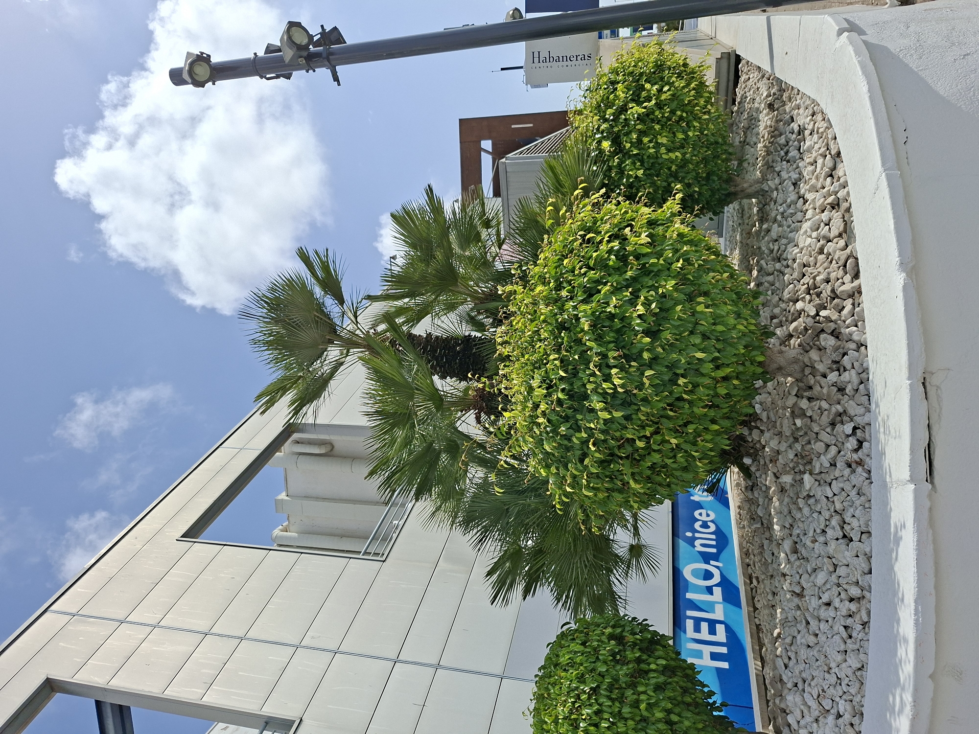 In Torrevieja, Spain, a modern white building stands under a blue sky with scattered clouds. In the foreground, a landscaped area features a white retaining wall, white stones, and lush green bushes. Two palm trees, one taller than the other, rise above the bushes, their fronds reaching towards the sky. A blue sign with white lettering that reads "HELLO, nice t" is partially visible behind the bushes. A tall, dark lamppost with multiple lights stands to the right of the image, and a sign with the text "Habaneras CENTRO COMERCIAL" is visible in the distance. The scene appears to be an outdoor plaza or entrance area of a commercial center.