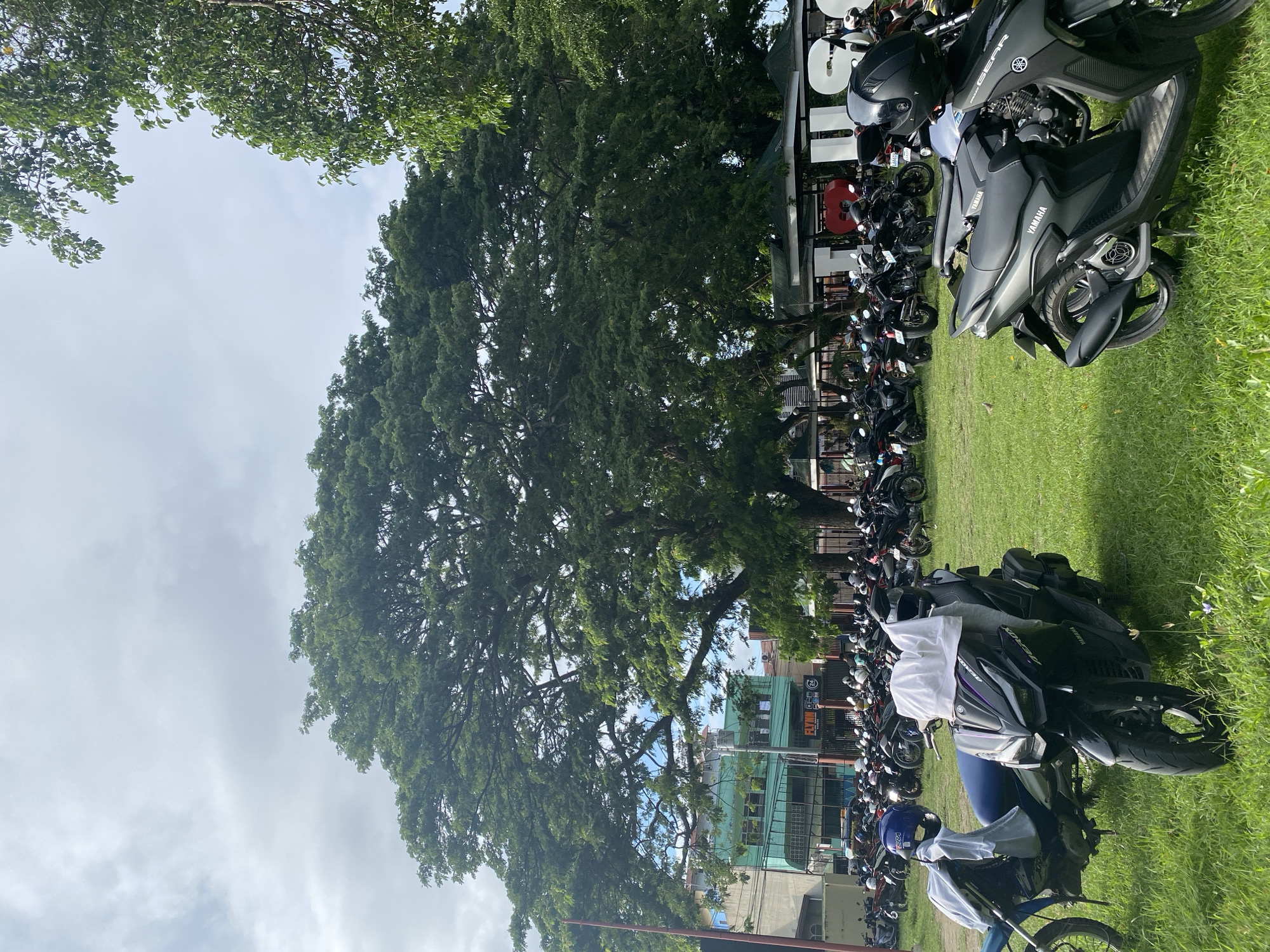 The image depicts a scene in Davao City, Philippines. A large tree dominates the left side of the frame. To the right, rows of parked motorcycles cover a grassy area. A building is partially visible behind the motorcycles and the tree. The sky is overcast. No people are clearly visible.