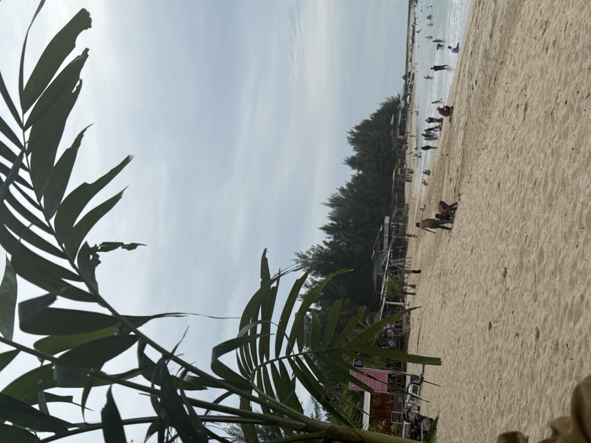 The image depicts a crowded beach scene on a cloudy day, likely in the city of Meunasahbale, Indonesia. In the foreground, lush green palm fronds obscure a portion of the view, casting shadows on the sandy shore. The beach is populated with numerous individuals, some walking along the waterline, others sitting or playing in the sand. The ocean stretches out to the right, with gentle waves lapping the shore and a scattering of small boats visible in the distance. Along the treeline that borders the beach, there are several small structures, possibly beachside shops or huts, with a few people gathered near them. The overall atmosphere appears relaxed and recreational.