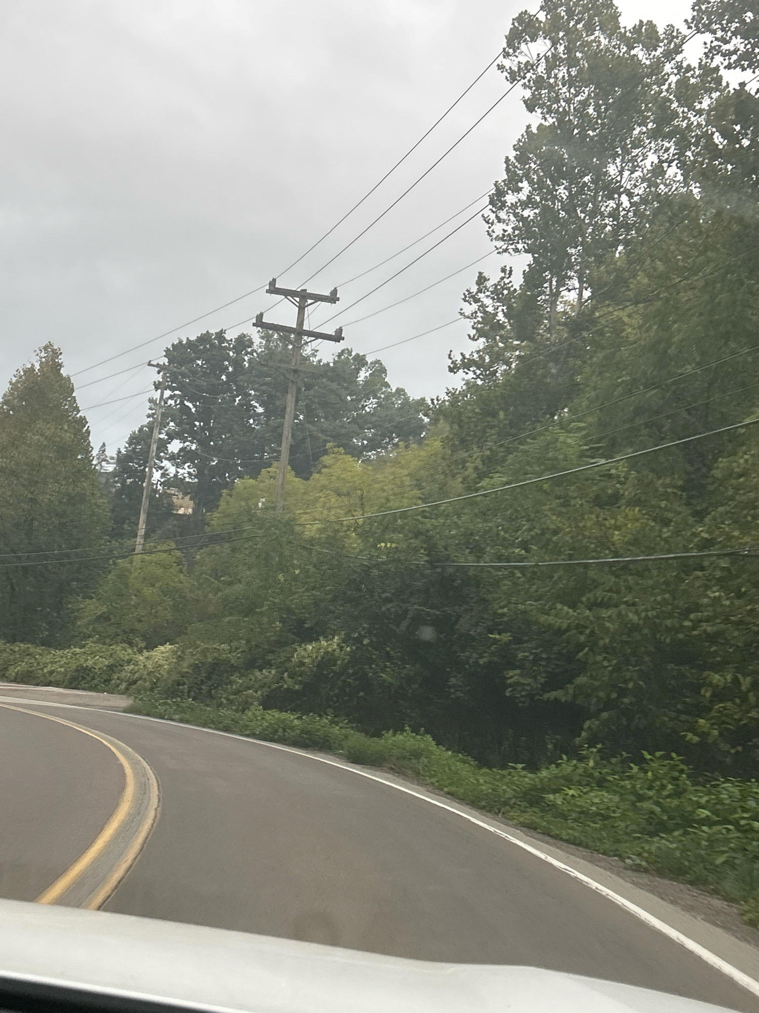 The image depicts a road with yellow lane markings curving to the right, bordered by lush green vegetation and trees. In the background, utility poles with power lines are visible against a cloudy sky. The scene appears to be on a wooded road, possibly in a suburban or rural setting. There are no people or vehicles clearly visible in the image, and the overall atmosphere is overcast and subdued. The image's resolution and detail do not allow for specific identification of a location within Pittsburgh, United States of America.
