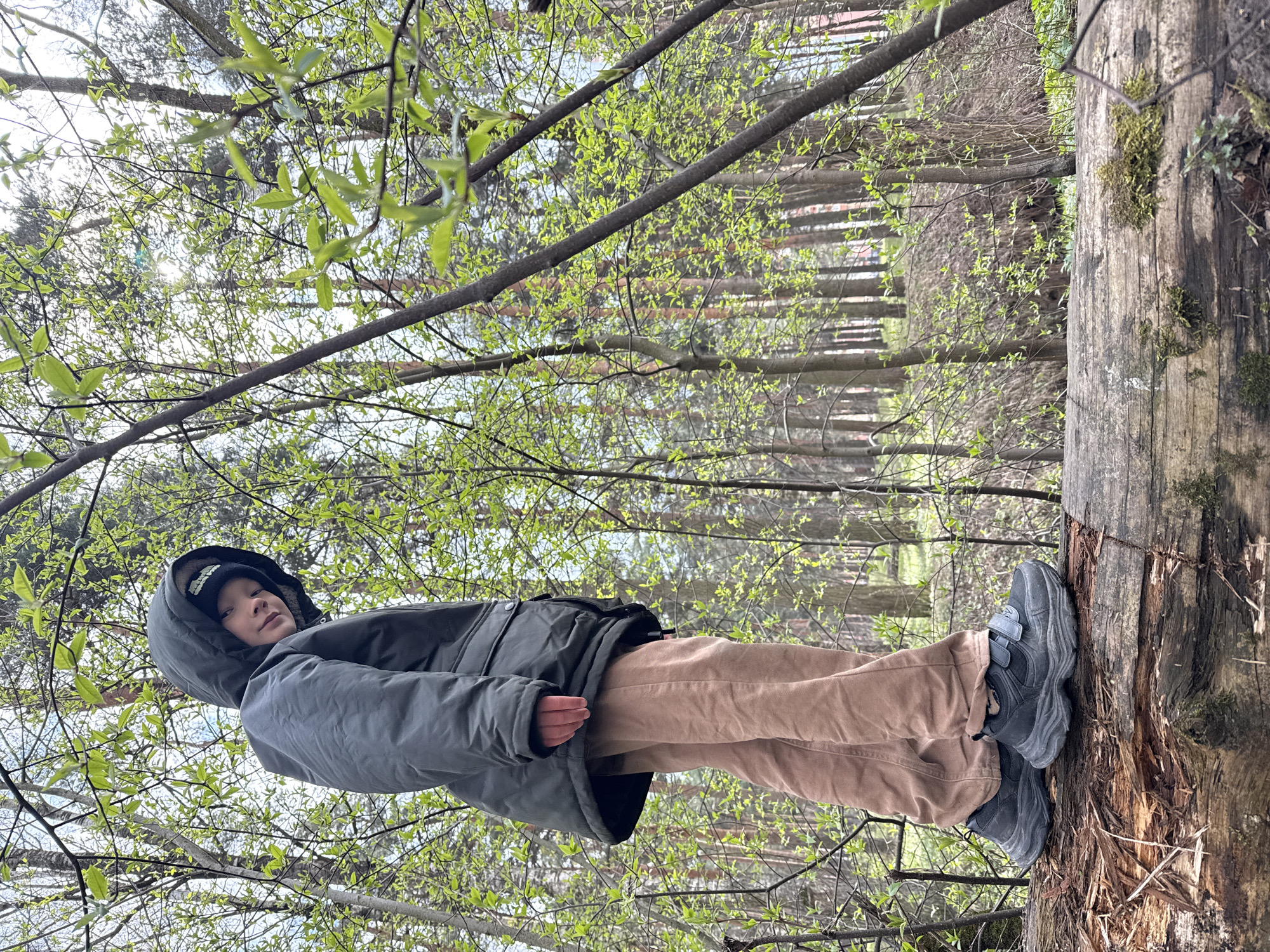 A child stands on a mossy tree trunk in a forest. The child wears a dark gray jacket with a hood, tan pants, and gray sneakers with Velcro straps. The background shows a forest with young green leaves emerging on the trees. This location is in the city of Dmitrov, Russia.