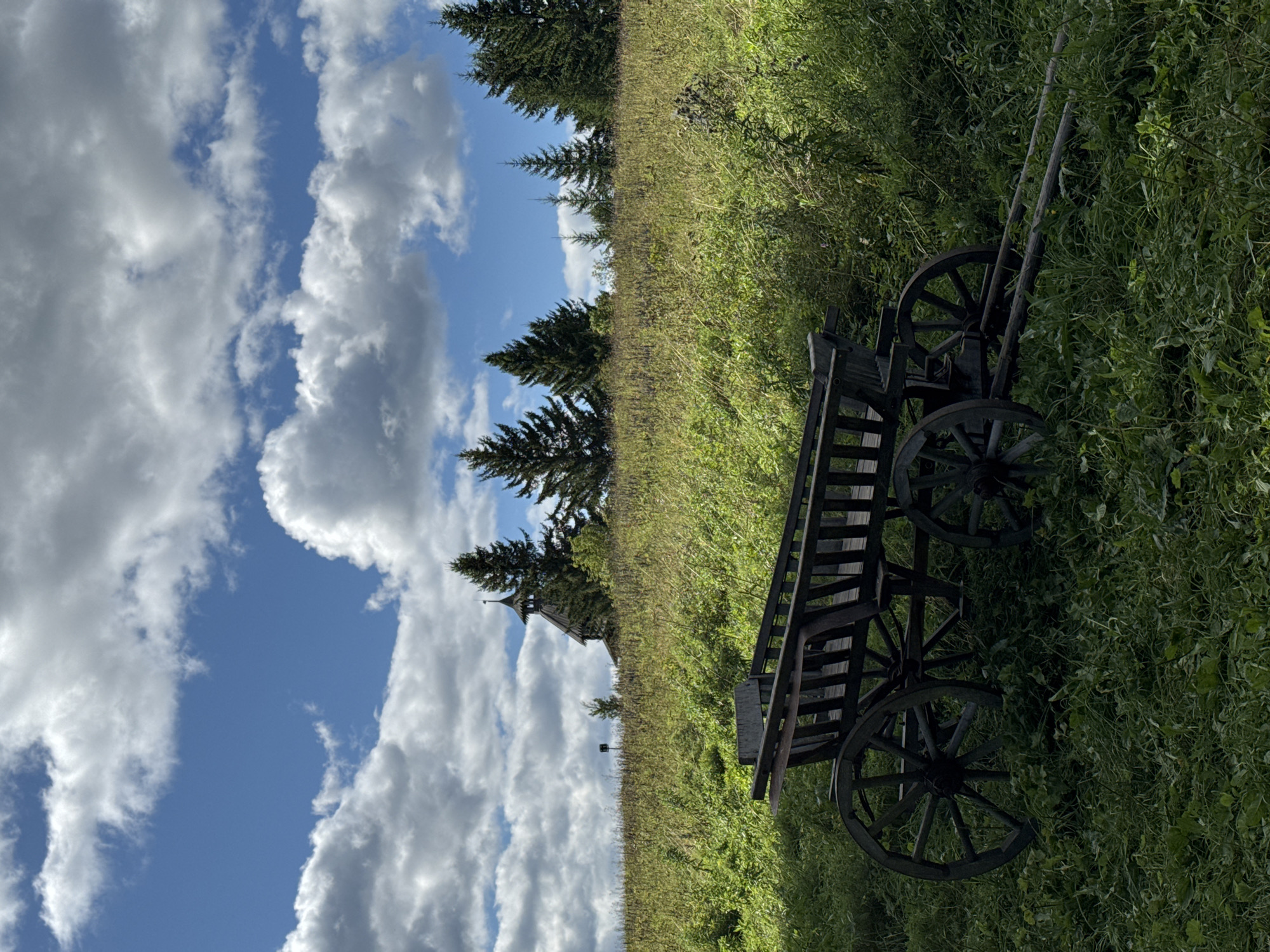 The photograph depicts an outdoor scene in the village of Gora (Khokhlovskoe S/P), Russia, featuring an antique wooden cart in the foreground situated on a grassy slope. The cart is dark wood, with large spoked wheels, and appears weathered. Behind the cart, the slope is covered in tall, green and yellow grass, with some wildflowers or weeds. Along the crest of the hill, a line of dark green coniferous trees is visible. Further in the background, a wooden structure, possibly a church or historical building, with a steeple, is partially obscured by the trees. The sky above is a vibrant blue, dotted with fluffy white clouds. The lighting suggests it is daytime, with sunlight casting shadows on the grass.