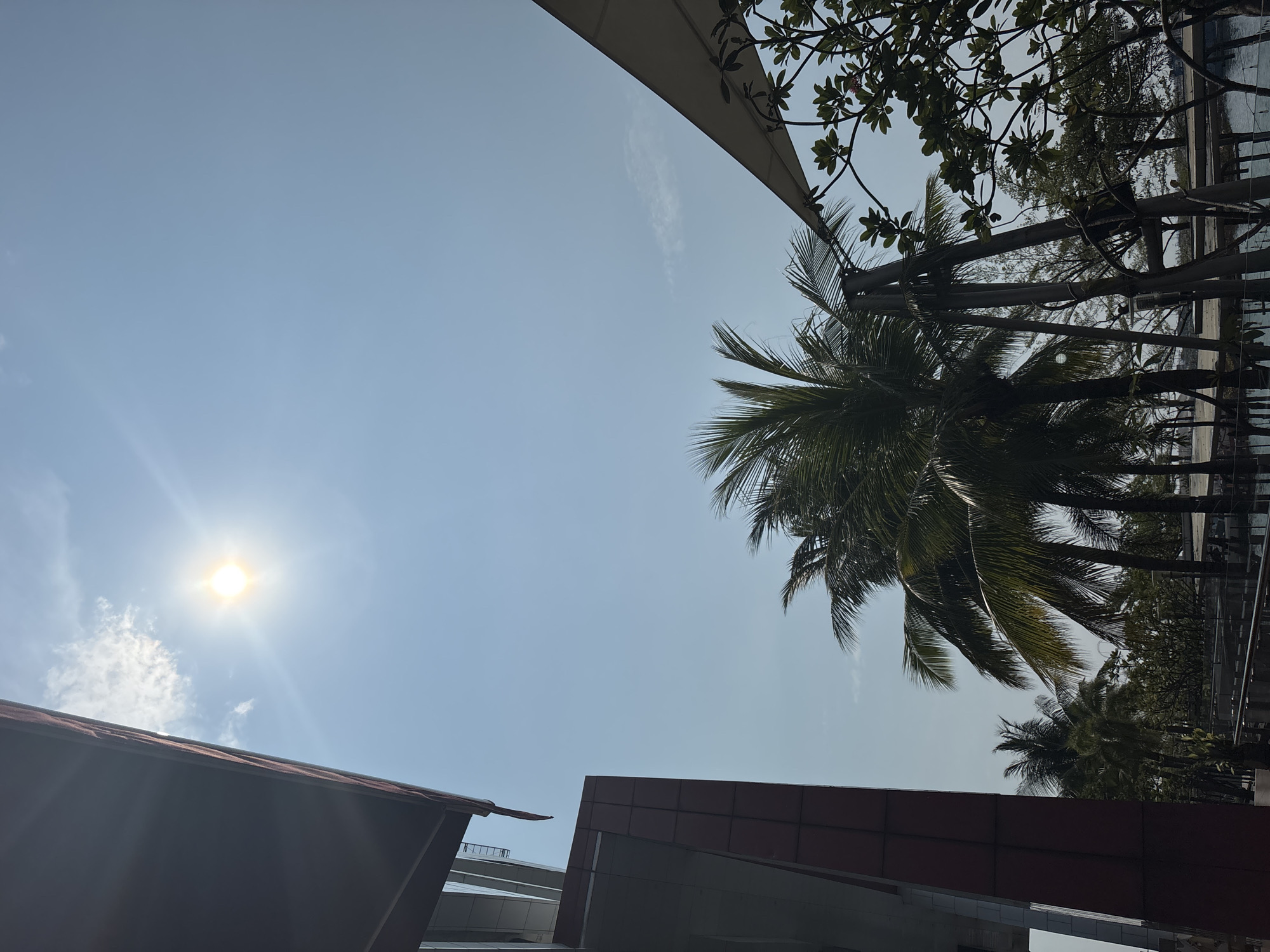 The image shows a low-angle view of an outdoor scene in North Jakarta, Indonesia. The sky is predominantly blue with some scattered clouds and a bright sun. Several palm trees are visible, partially obscuring the view, along with other trees and foliage. Architectural structures, including buildings with dark red and gray panels, are also in the foreground. A white canopy or awning is partially visible at the top of the image. The scene appears to be in a tropical environment.