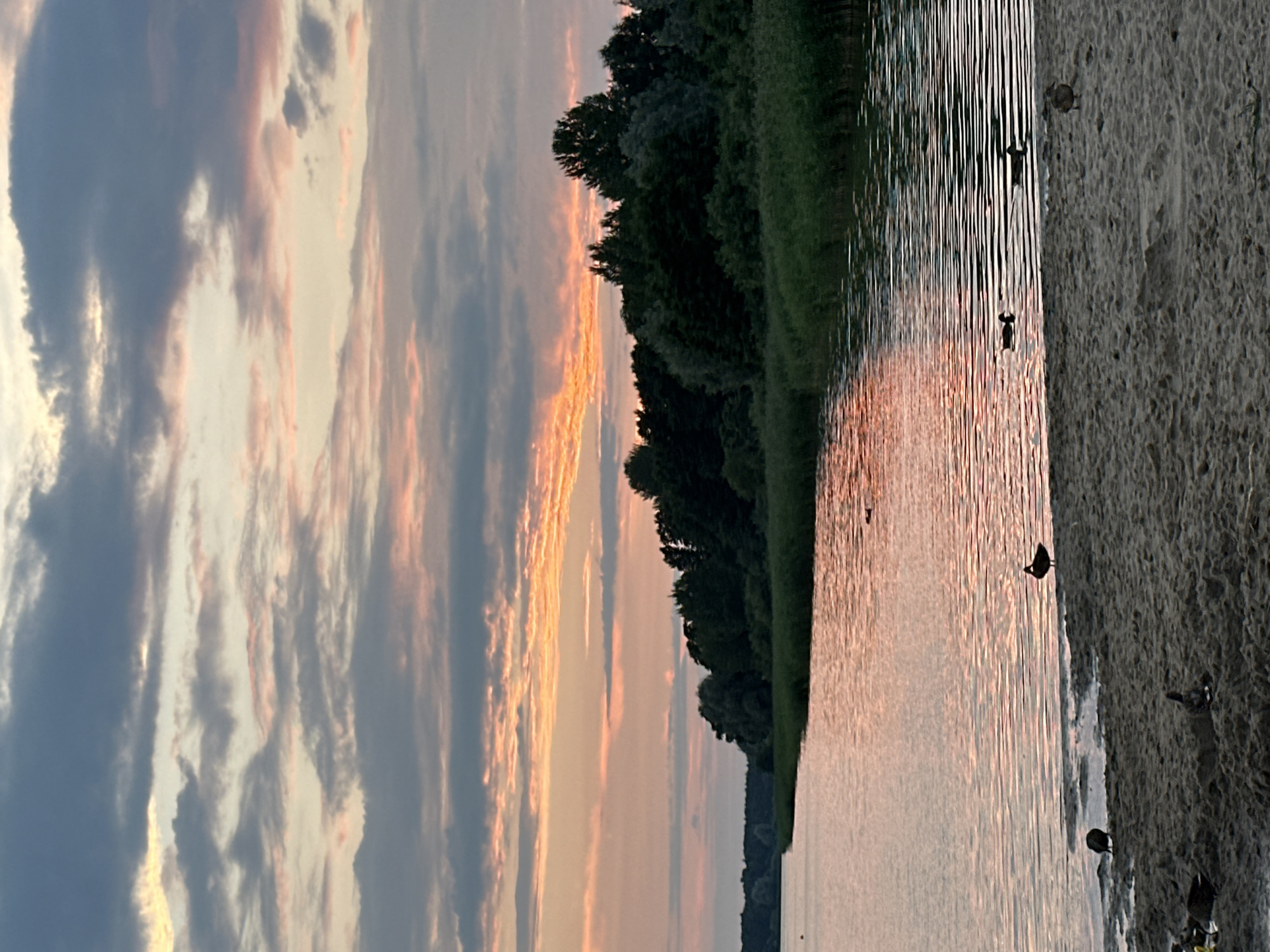 This image depicts a tranquil natural scene at dusk, likely along the coast of Tallinn, Estonia. The sky is filled with dramatic clouds, painted in hues of pink, orange, and grey, suggesting the last moments of daylight. Below the sky, a calm body of water, possibly the Baltic Sea or a large lake, reflects the soft colors of the sunset. A shoreline with a sandy beach is in the foreground, with several ducks scattered across it and in the water. A dense line of trees and reeds forms the background, separating the water from the sky and adding depth to the landscape. The overall impression is one of peace and natural beauty, characteristic of coastal landscapes near Tallinn.