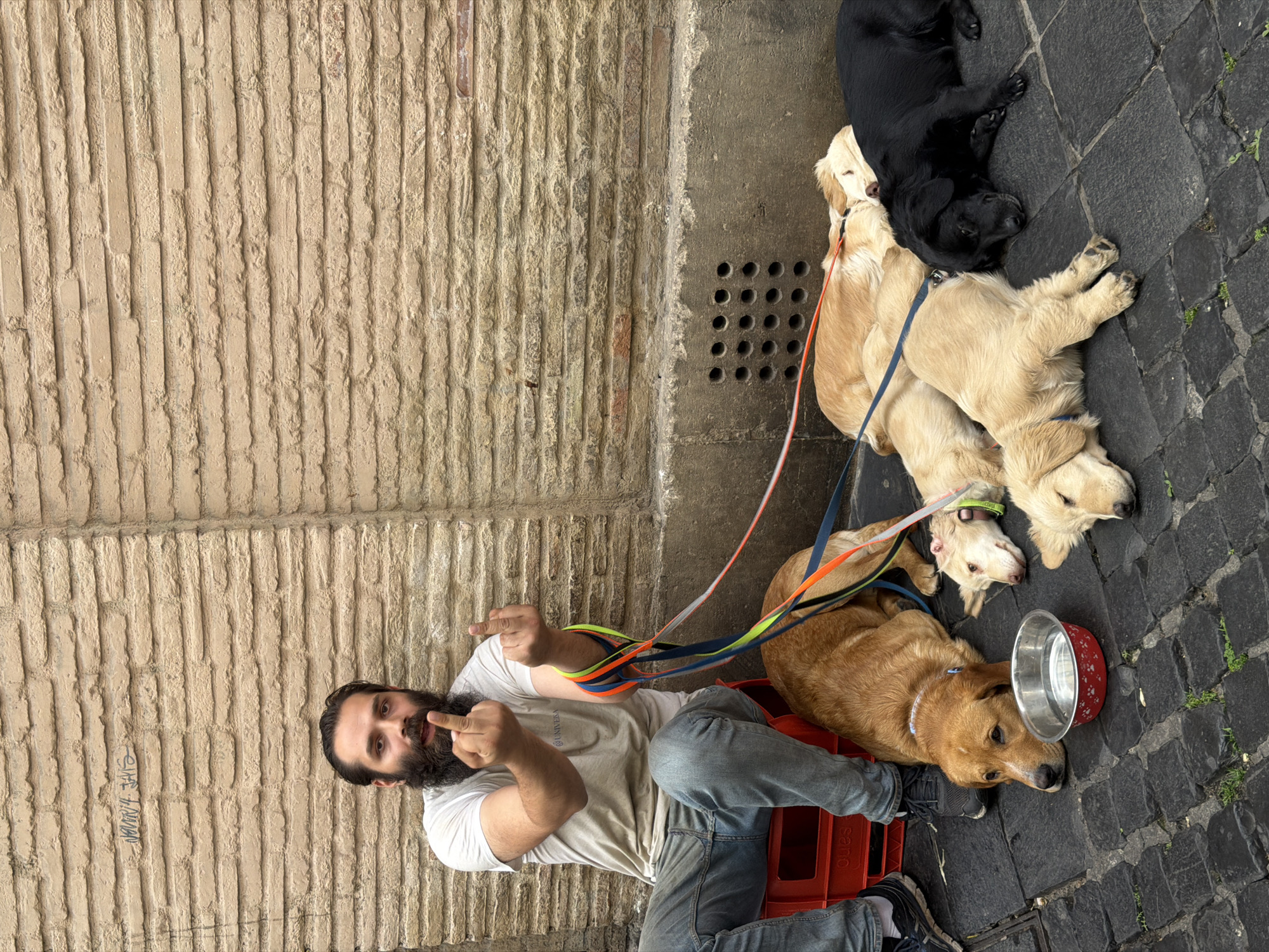 An outdoor, rotated full-shot shows a bearded man sitting on a red plastic crate on a cobblestone street, surrounded by five dogs. The man wears a light t-shirt and jeans, holding a tangle of colorful leashes (blue, orange, yellow, green) connected to the dogs. He extends both middle fingers towards the viewer.
To his right, on dark grey cobblestone pavement, lie five dogs. Closest to the man is a reddish-brown dog next to an empty red and silver dog bowl. Further away are three light-colored, golden retriever-like dogs, with one appearing to sleep. The furthest dog is black, also lying down, near a concrete strip featuring a pattern of round drainage holes.
On the left side of the frame, behind the man, is a light brown, vertically grooved or textured stone wall. Black graffiti on the wall reads "SAVE ANIMALS". The word "SANO" is visible on the side of the red crate. The scene depicts a casual moment in a city setting, likely during the daytime, consistent with urban environments in Rome, Italy. The dogs appear relaxed, while the man's gesture is provocative.