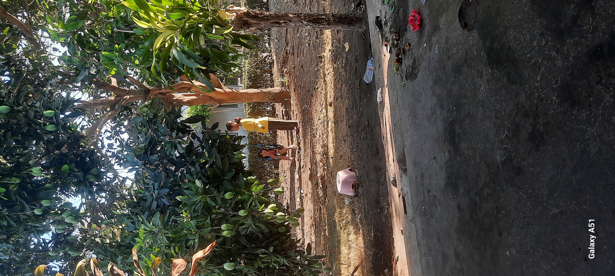 Two young girls are in a yard with trees laden with green mangoes. One girl, wearing a yellow shirt and dark pants, stands facing right. The other girl sits on a swing, facing forward. A pink stool sits nearby on the ground. The area appears somewhat unkempt, with scattered debris and dry leaves. In the foreground, a paved area shows more refuse. The scene is set outdoors, likely in a residential area of Ploso, Indonesia, given the mention of the city.