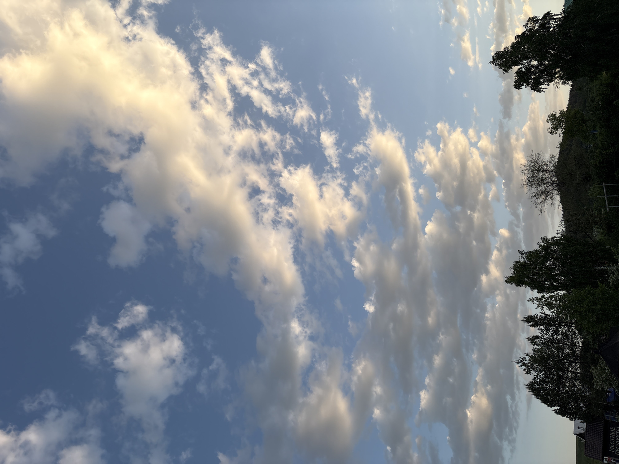 The image depicts a view of the sky with scattered clouds, partially obscured by tree silhouettes on the right. The sky transitions from a deep blue to a lighter hue. On the lower right is a blurry building, and the text on it indicates that this is in Khvalynsk, Russia.