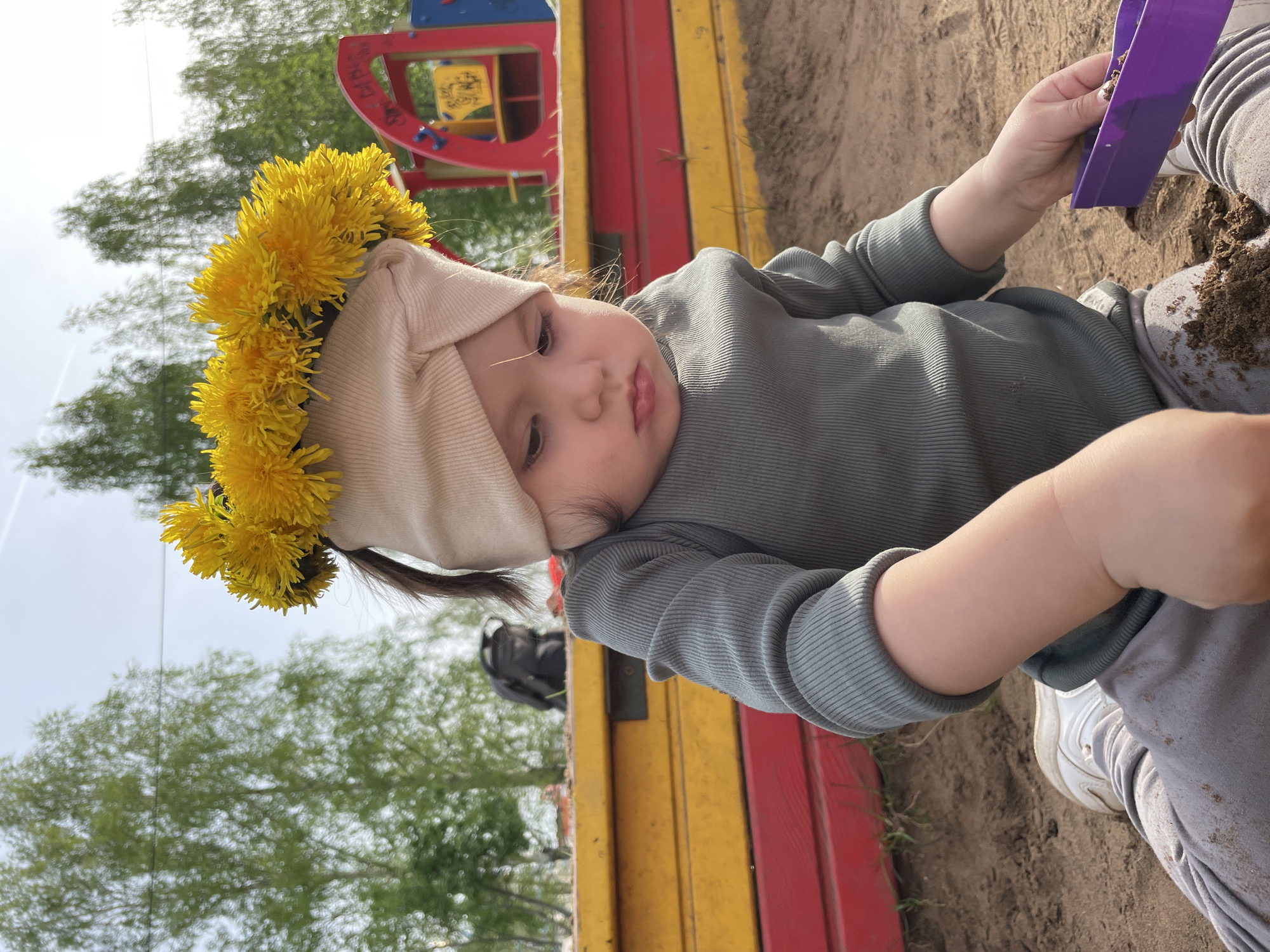A close-up, eye-level shot captures a young child playing in a sandbox, potentially located in Izhevsk, Russia, although specific city confirmation requires further evidence. The child, adorned with a crown of dandelions atop a beige headband, is the main subject. The child wears a long-sleeved, gray-green ribbed shirt and gray pants. The child's right hand holds a purple plastic shovel filled with sand. The sandbox itself is constructed of red, yellow, and brown wood. In the background, blurred trees and a portion of a colorful playground structure are visible. Sand covers the surrounding area, and some has scattered onto the child's clothing. The sky is visible in the upper left corner of the frame.