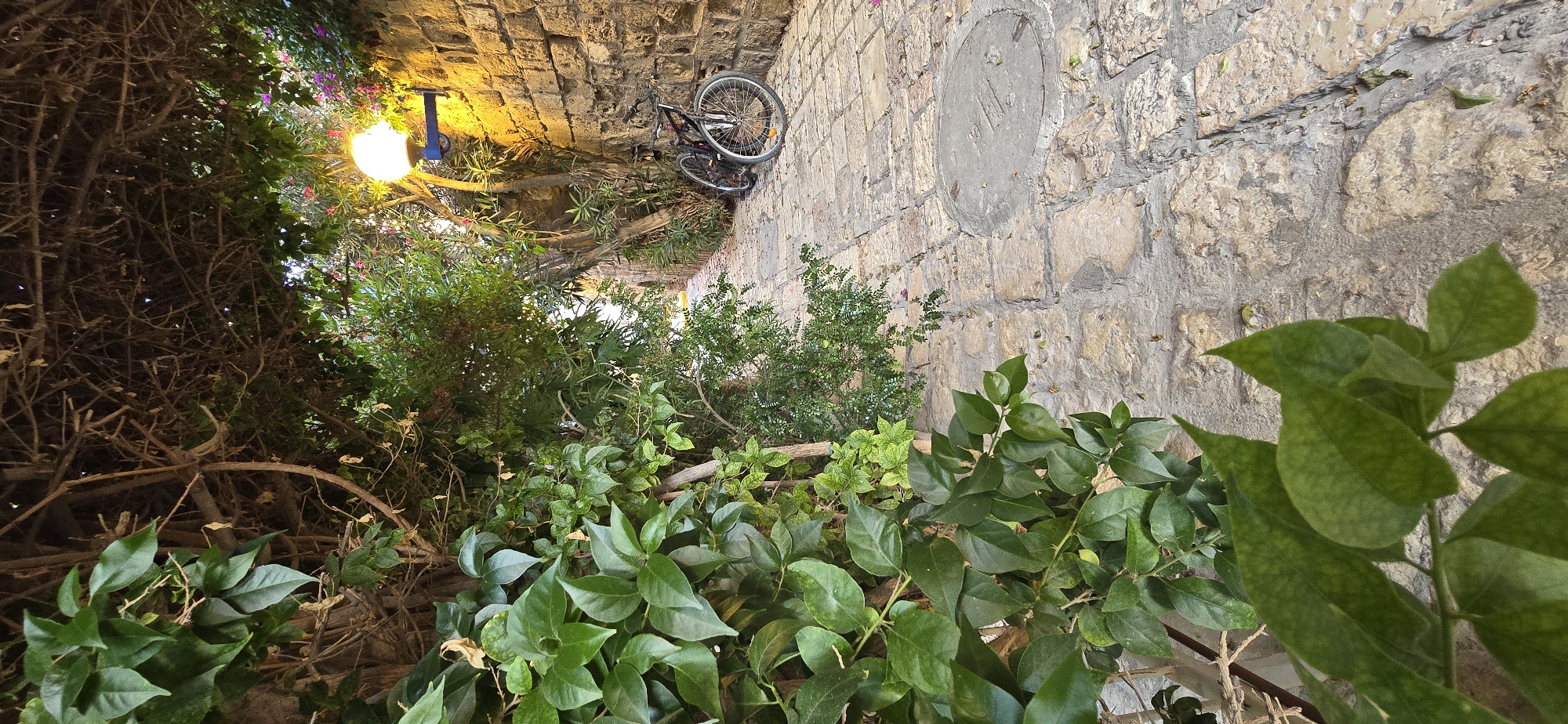 The image depicts a narrow cobblestone alleyway with a stone wall on the right and lush green foliage on the left. A single bicycle is parked leaning against the stone wall. A spherical lantern with a yellow glow is mounted on the wall, illuminating the scene. The alleyway appears to be in an older part of a city, possibly Jaffa, which is now part of Tel-Aviv, Israel, given the characteristic stone architecture and the Mediterranean vegetation. The overall impression is one of a quiet, atmospheric passage, likely a pedestrian area or a narrow street.