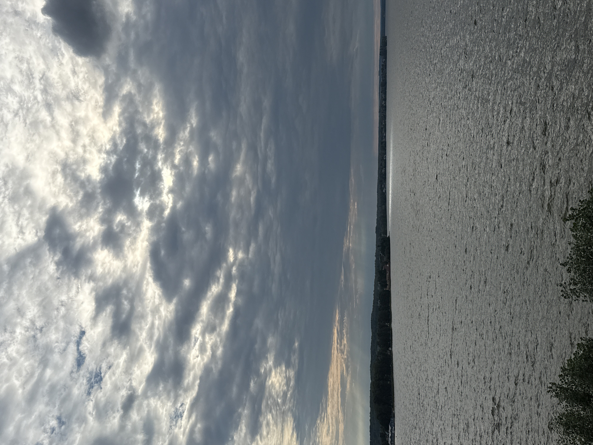 The image depicts a vast body of water, likely a lake or river, under a cloudy sky. The water is textured with small ripples, suggesting a gentle breeze. To the left, the sky is filled with dramatic clouds, some dark and heavy, others illuminated by sunlight breaking through, creating a dynamic contrast. A distant shoreline with a line of trees and some buildings is visible in the background, creating a sense of depth. On the right side of the image, the water extends to the horizon, reflecting the muted light of the sky. The overall mood is serene and contemplative, with the natural elements dominating the scene. The time of day appears to be either early morning or late afternoon, given the low angle of the light and the soft illumination. The weather is mixed, with signs of both sun and cloud. The scene is likely set in a natural landscape, possibly a park or a residential area bordering a large body of water. There is no visible text in the image.