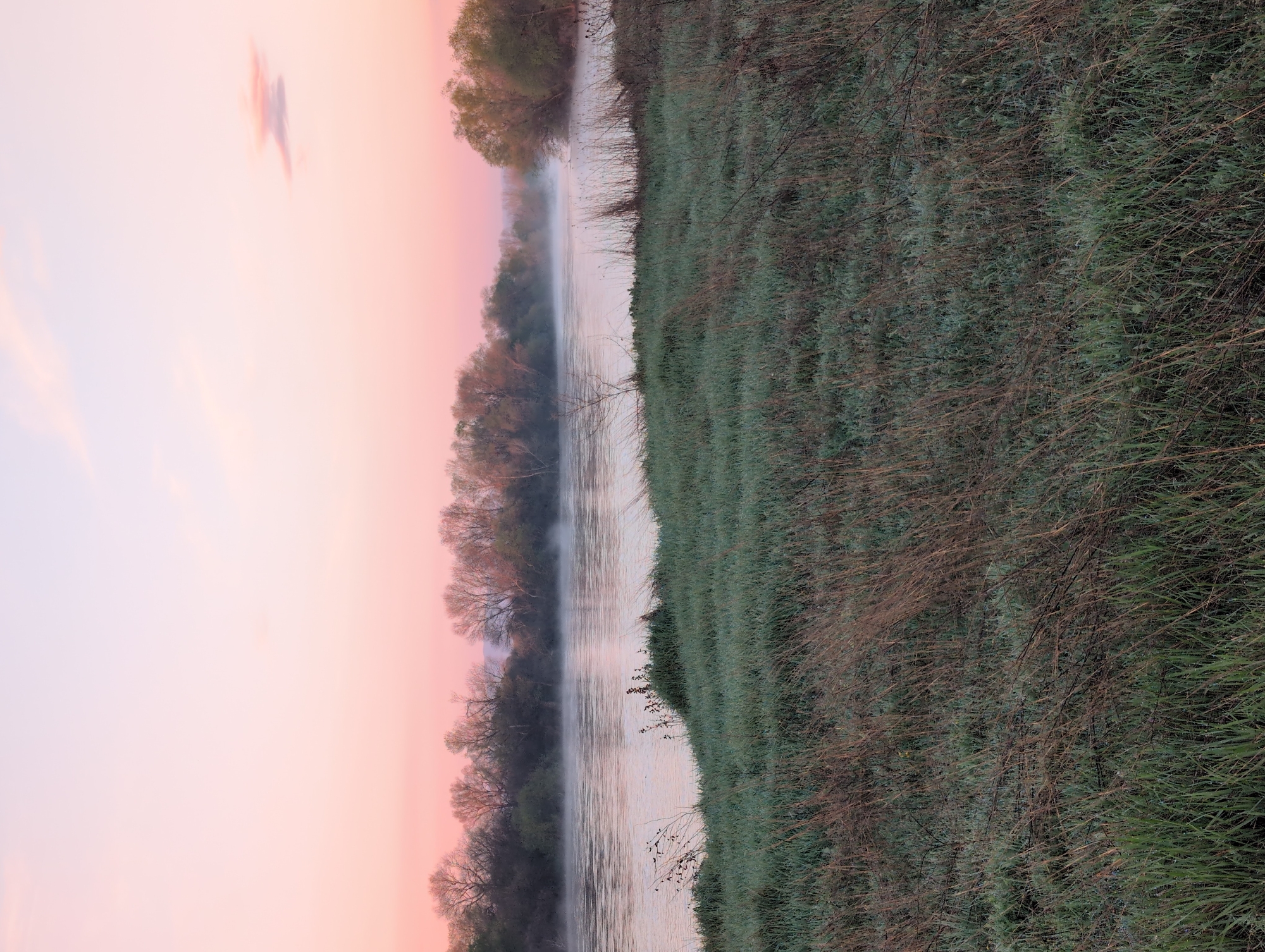 The image presents a landscape likely captured at dawn or dusk. A river runs through the scene, with fog rising from the water's surface. The sky exhibits hues of pink and light purple, indicating the time of day. Trees line the riverbank, their branches bare in some areas, suggesting the season might be late autumn or winter. On the opposite side of the river, there's a grassy area with dry stalks, which could be indicative of a field or marshland. The image is oriented vertically. There are no people visible in the frame. While I cannot confirm its precise location within Zetiovo, Bulgaria, this type of riverine landscape would be consistent with the area's general environment.