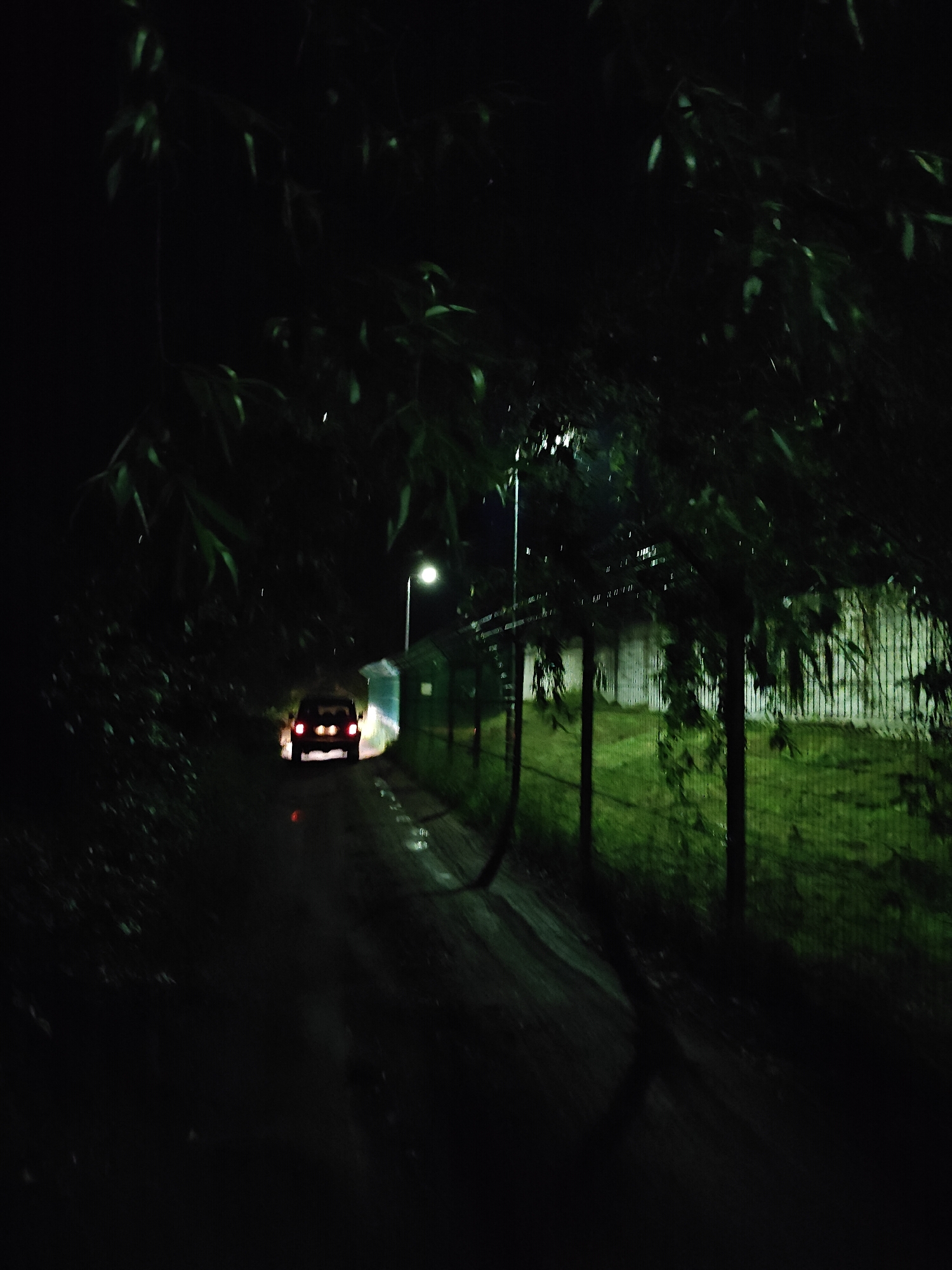 Location: Chaikovsky, Russia.
Time: Nighttime. The environment is dark, with artificial light sources illuminating specific areas. The ground is wet and reflective, indicating recent precipitation.
Scene Overview: A dark, unpaved or minimally paved road/path recedes into the distance from the foreground. The path is bordered by dense vegetation on the left and a fenced-off area with structures on the right.
Subjects and Objects:
* **Vehicle:** A dark-colored, boxy utility vehicle, possibly an SUV or jeep, is positioned on the path in the midground. It is oriented away from the viewer, displaying two illuminated red taillights. Reflections of these taillights are visible on the wet road surface. The vehicle's make and specific model are indistinct.
* **Road/Path:** The path is dark, wet, and reflects light, suggesting a non-asphalt or poorly maintained surface.
* **Vegetation:** Dense, dark green foliage, consisting of trees and bushes, frames the left side and partially the top of the image. Branches with leaves hang into the upper left quadrant.
* **Lighting:** A single, brightly illuminated streetlamp on a pole stands on the right side of the path in the midground, casting light on the immediate vicinity, including parts of the path, a small structure, and the fence. Additional diffused light emanates from a structure further down the path, behind the vehicle.
* **Structures:**
* Adjacent to the streetlamp on the right, a small, light-colored building with a dark roof is visible.
* Further back on the right, beyond the fence and grassy area, a larger, light-colored wall or building with a distinct vertical texture is dimly illuminated.
* **Fencing:** A wire mesh fence, supported by dark posts, runs along the right side of the path, separating it from a grassy area.
* **Ground Detail:** The wet path reflects the vehicle's taillights and the streetlamp's glow. The grassy area behind the fence on the right is also wet.
Actions and Interactions: The illuminated taillights of the vehicle suggest it is either operating, recently stopped, or parked with its lights engaged. No human figures are present.