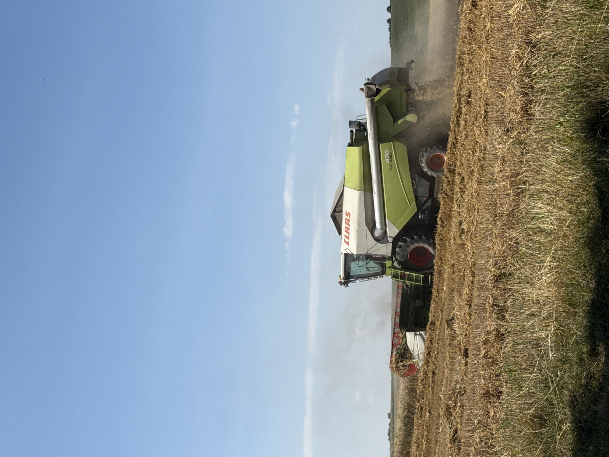 In an outdoor scene with a clear blue sky, a Claas Tucano 470 combine harvester is actively engaged in harvesting a golden-brown crop in a field. The combine is positioned in the center of the frame, moving from left to right. Dust is visibly being kicked up by the machine as it operates. The field appears to have been recently harvested, with stubble and straw covering the ground. In the background, the land is relatively flat, with a few trees visible on the horizon. The lighting suggests it is daytime, likely a sunny day.