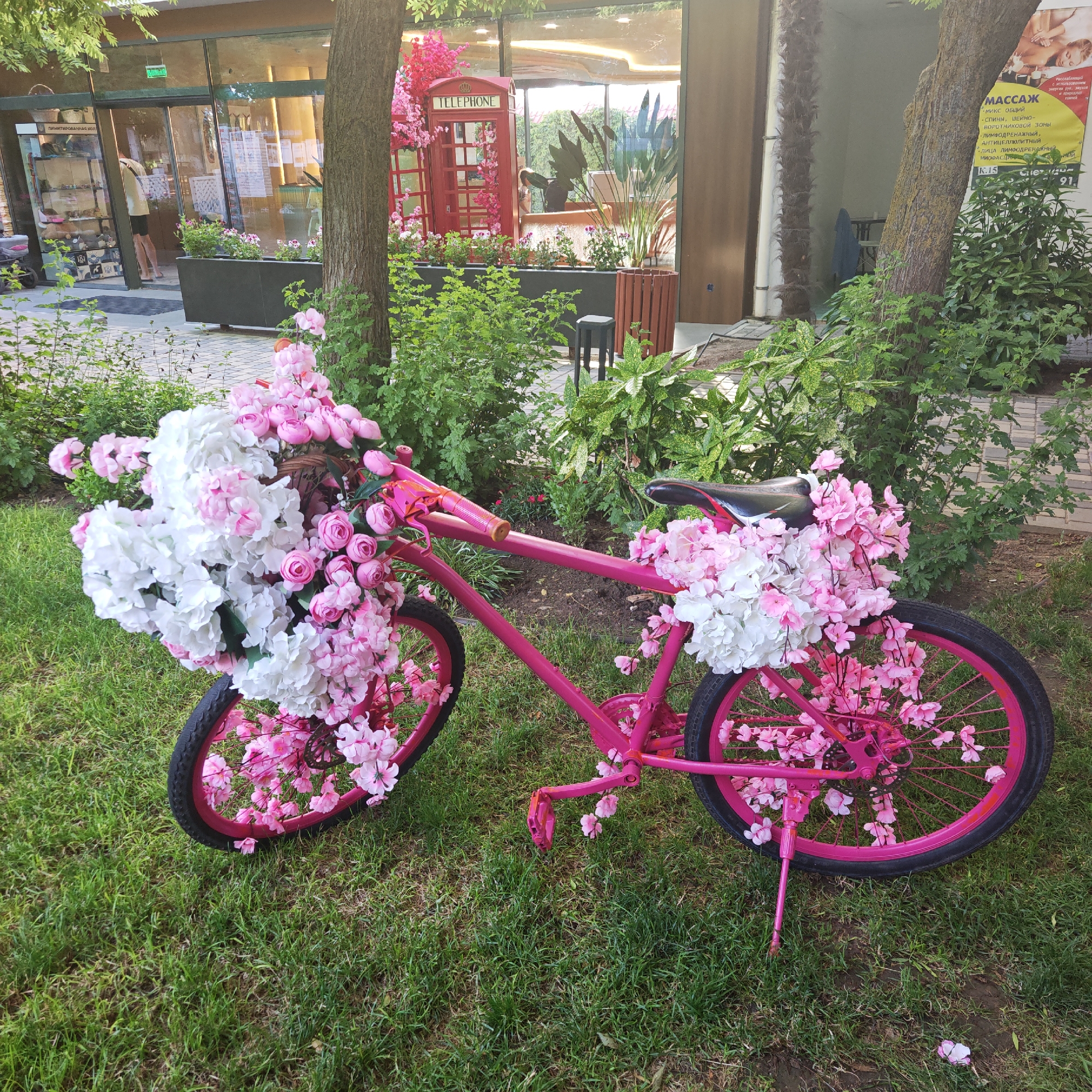 A bright pink bicycle, adorned with numerous pink and white artificial flowers, is displayed on a grassy area in front of a building. The bicycle is the central subject, with flowers cascading from the basket, handlebars, frame, and even woven through the spokes of the wheels. The flowers create a vibrant and whimsical decoration.
Behind the bicycle, the building appears to be a commercial establishment with large glass windows. Through the windows, a red telephone booth, also decorated with pink flowers, is visible, suggesting a decorative display. Inside the building, shelves stocked with items and some people can be seen. A sign with text in Cyrillic is visible on the building. To the left of the building, a person is standing near a display case.
The scene is set outdoors, with lush green grass and trees providing a natural backdrop. The lighting suggests it is daytime, likely sunny, given the bright illumination and some shadows. The overall impression is one of a cheerful and decorative outdoor space, possibly a public area or the entrance to a business aiming for an inviting aesthetic. The visible text includes "TELEPHONE" on the phone booth and Cyrillic characters on a sign, which seems to be advertising "MASSAGE" services, listing different types of massages.