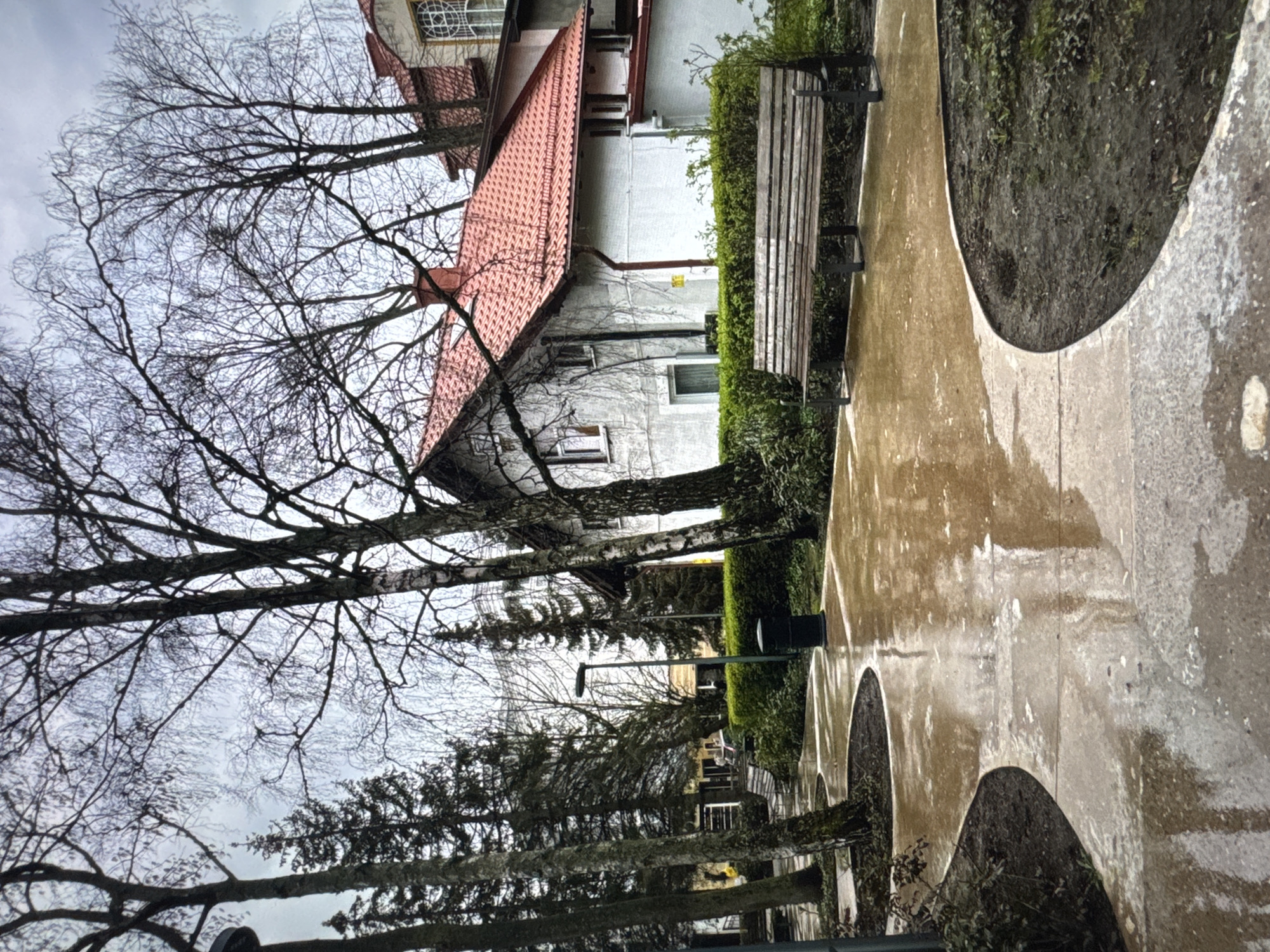 The image depicts an outdoor scene in Новинки, Russia, on what appears to be a wet day. The view is oriented upwards, showcasing a building with a red-tiled roof and light-colored walls. A bare tree with intricate branches dominates the left side of the frame, contrasting with the building behind it. To the right, a wooden park bench sits beside a paved walkway with circular planting beds filled with dark soil. A neatly trimmed hedge separates the walkway from the building. Further down the pathway, other trees and streetlights are visible. The walkway itself is wet and reflective, suggesting recent or ongoing rain.