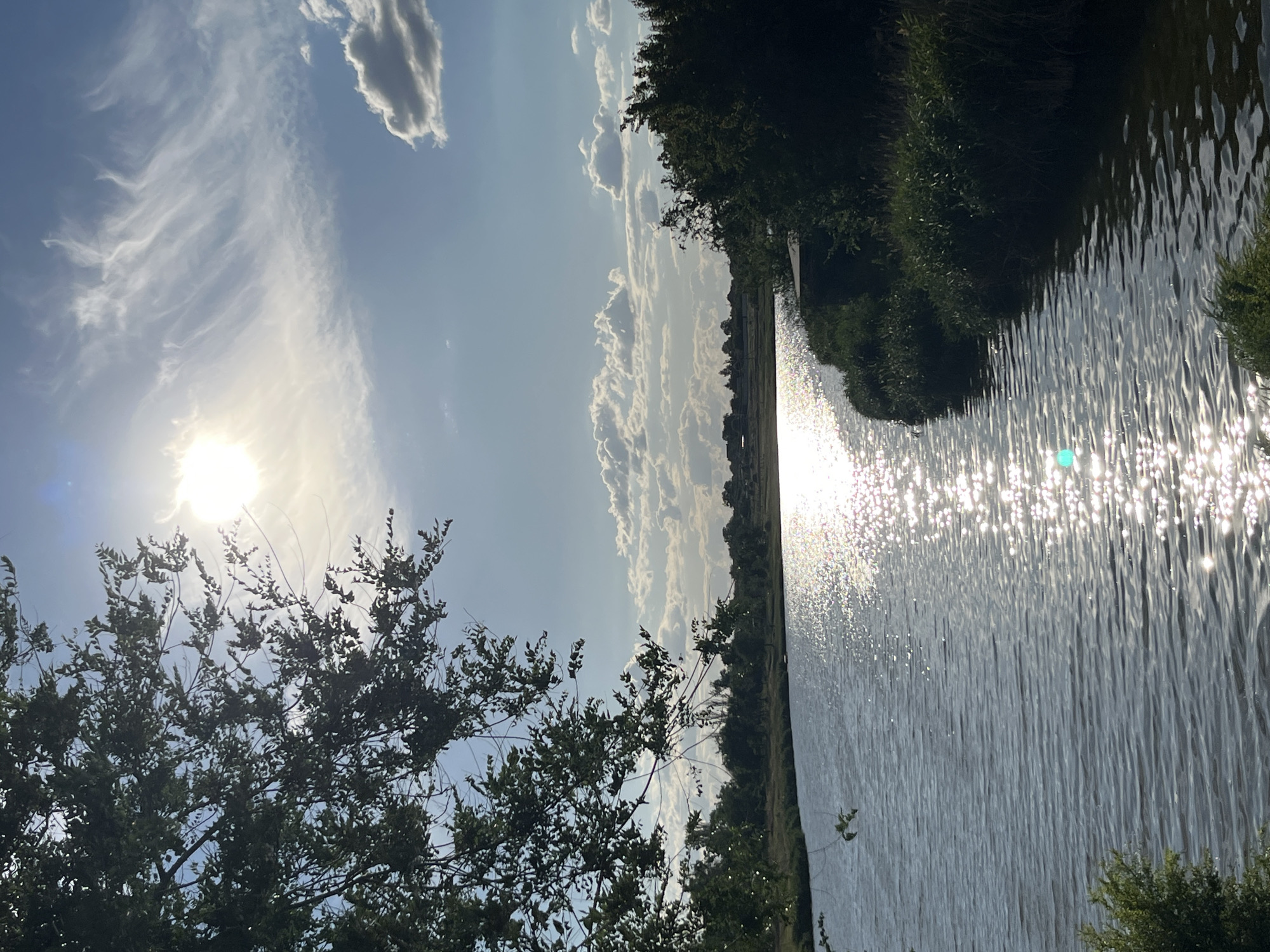 This is a landscape photograph taken from a vertical perspective, showing a body of water, vegetation, and the sky. The sun is visible, casting bright reflections on the water's surface. The sky is blue with wispy white clouds and some darker, more defined clouds. The water appears to be a canal or river, with trees and foliage lining its banks. The overall impression is of a bright, sunny day in a natural setting.
The image is oriented vertically, so the sky is on the left and the water is on the right. The sun is prominently featured in the upper left quadrant, with its rays creating a shimmering effect on the water. The foliage on the left side of the image is a mix of green leaves and branches, appearing dense and possibly in the foreground. On the right side, dark green trees and bushes form a line along the edge of the water, with some smaller plants visible closer to the water's edge. The water itself is rippling, with numerous points of light reflecting off its surface. The clouds in the sky are varied, with some appearing thin and feathery, while others are more substantial and puffy. The lighting suggests it is midday or afternoon. There is no visible text in the image.
The scene evokes a sense of tranquility and natural beauty. The bright sunlight and the sparkling water create a vibrant and uplifting atmosphere. The lush greenery suggests a healthy environment. The lack of any human presence or artificial structures contributes to the feeling of a peaceful, untouched landscape.