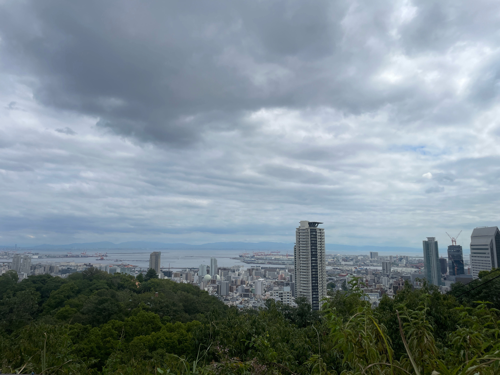 This is a wide-angle, outdoor, eye-level photograph taken from a high vantage point overlooking a city and a bay under a cloudy sky. In the foreground, dense green foliage and trees obscure the bottom portion of the frame. Behind the foliage, the cityscape of Kobe, Japan, unfolds. Numerous buildings, including several high-rise apartments and office buildings, dominate the mid-ground. The most prominent building is a tall, slender, white skyscraper with a dark top section, located slightly right of center. To its right, other modern buildings are visible, including one with a red crane on top, indicating ongoing construction. In the distance, the bay of Kobe is visible, with ships and industrial structures lining its edge. The background consists of a hazy horizon with mountains and the sea, all under a heavily overcast, grey sky with layered clouds. There are no people or animals visible in the image. The overall mood is somber due to the cloudy weather.