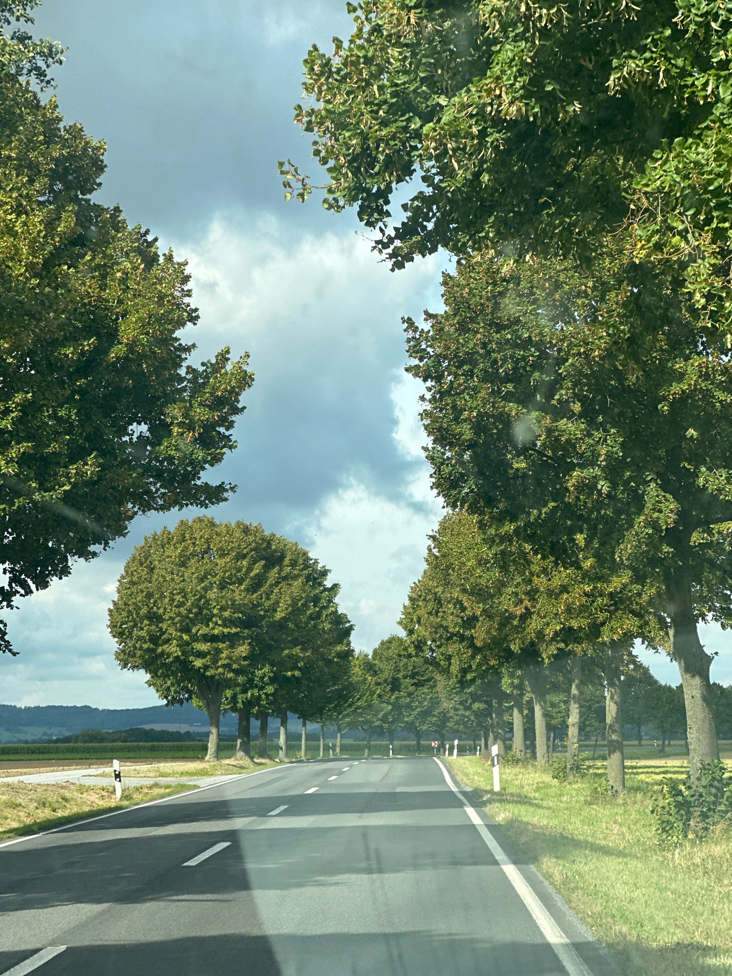 The image captures a view from a vehicle traveling down a rural road lined with mature trees, likely in or near Panschwitz-Kuckau, Germany. The road, made of asphalt, has clear white lane markings. On either side of the road, there is grassy verge and fields. In the distance, rolling hills covered in vegetation are visible under a cloudy sky. Several white road markers with reflective stripes are placed along the roadside. The trees on both sides of the road create a natural canopy over the road. The overall scene depicts a serene, pastoral landscape. There are no people or animals visible in the image.