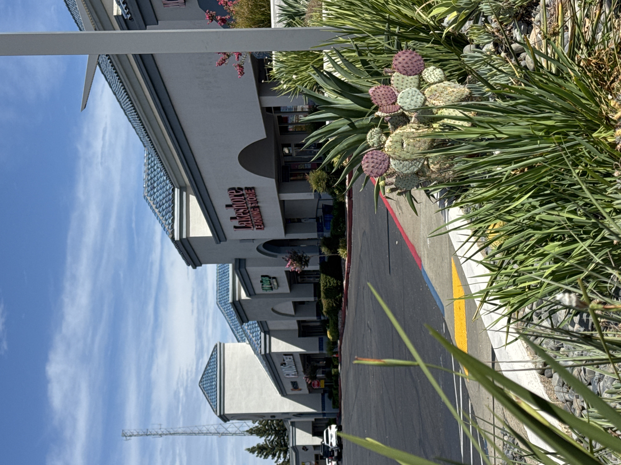 The image depicts a sunny day in a commercial district, likely in Roseville, California, United States of America. In the foreground, a variety of arid-climate plants, including prickly pear cactus and succulents, are visible. Behind the landscaping, a row of connected retail storefronts with blue tiled roofs and light-colored facades lines a paved parking lot. Signs for "Famous Footwear," "Lakeshore LEARNING STORE," and potentially "Nail Lounge" are discernable on the buildings. Cars are parked in the lot, and a stop sign is posted near one of the entrances. A tall communications tower stands in the background against a blue sky with scattered white clouds. The scene appears peaceful and well-maintained.