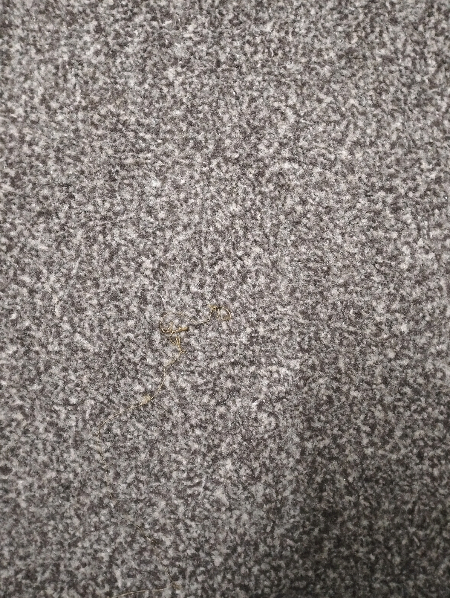 The image displays a close-up, textured view of a grey carpet with a speckled pattern of lighter grey and white fibers. In the center of the image, a small, thin strand of light-colored material, possibly a stray thread or hair, is visible, appearing slightly tangled or curled. The lighting is even, casting no discernible shadows, suggesting an indoor, well-lit environment. The overall impression is of a commonplace carpet surface, devoid of any identifiable landmarks or contextual clues that would place it specifically in Abbottabad, Pakistan, or any other location. The image captures only the texture and a small detail on the carpet.