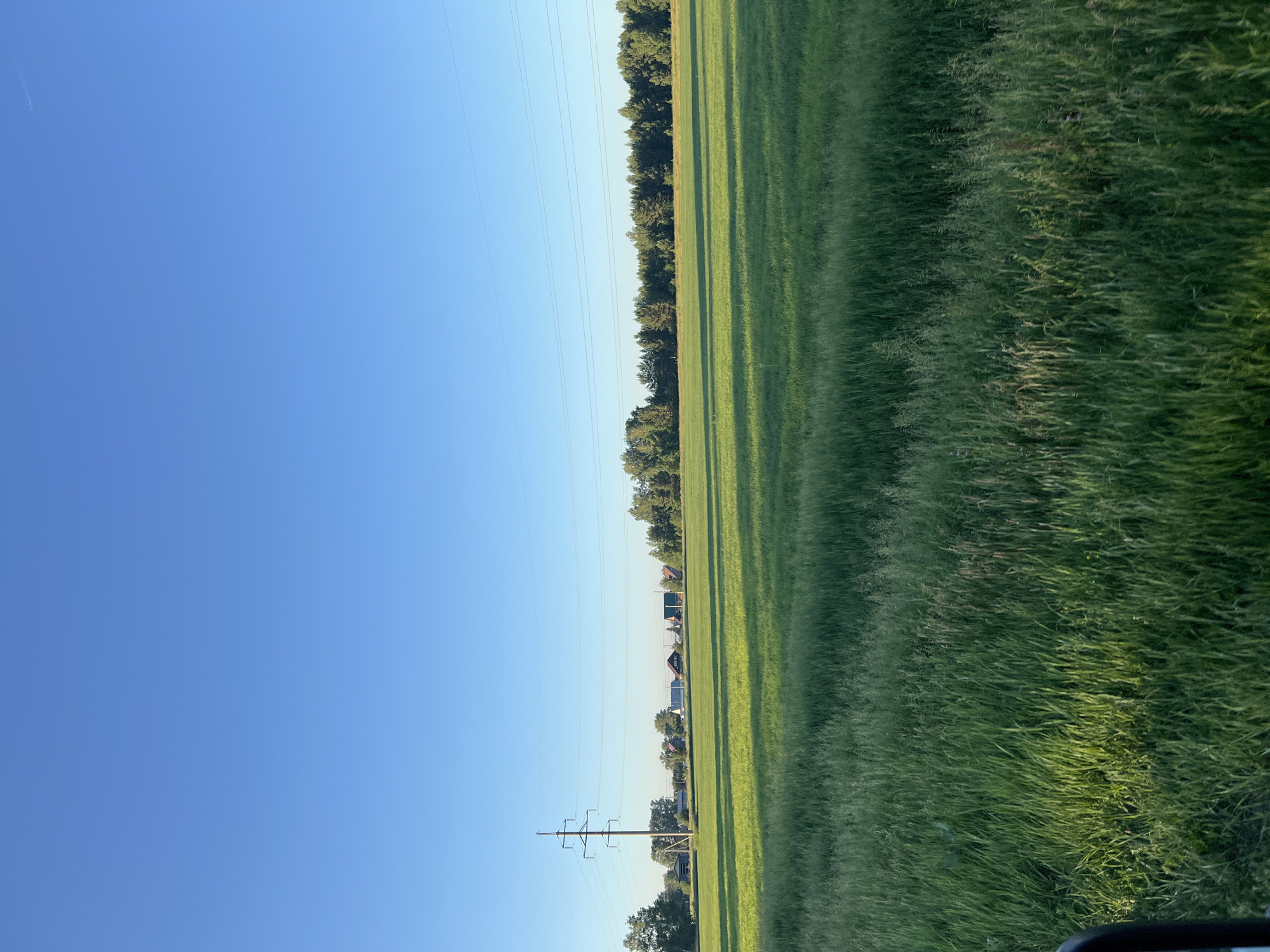 A wide-angle, landscape photograph captures a rural scene under a clear, bright blue sky. The foreground is dominated by a lush, green field of tall grass, with some blades catching the sunlight. In the mid-ground, a vast, flat expanse of shorter green grass stretches towards a line of trees in the distance. A solitary, tall, metal utility pole stands on the left side of the frame, supporting high-voltage power lines that extend across the horizon. Scattered among the trees in the distance are several small, rural houses with peaked roofs, suggesting a small village or hamlet. The overall impression is one of a serene, open countryside, likely in the early morning or late afternoon given the quality of light. The location is identified as Novopichugovo, Russia.