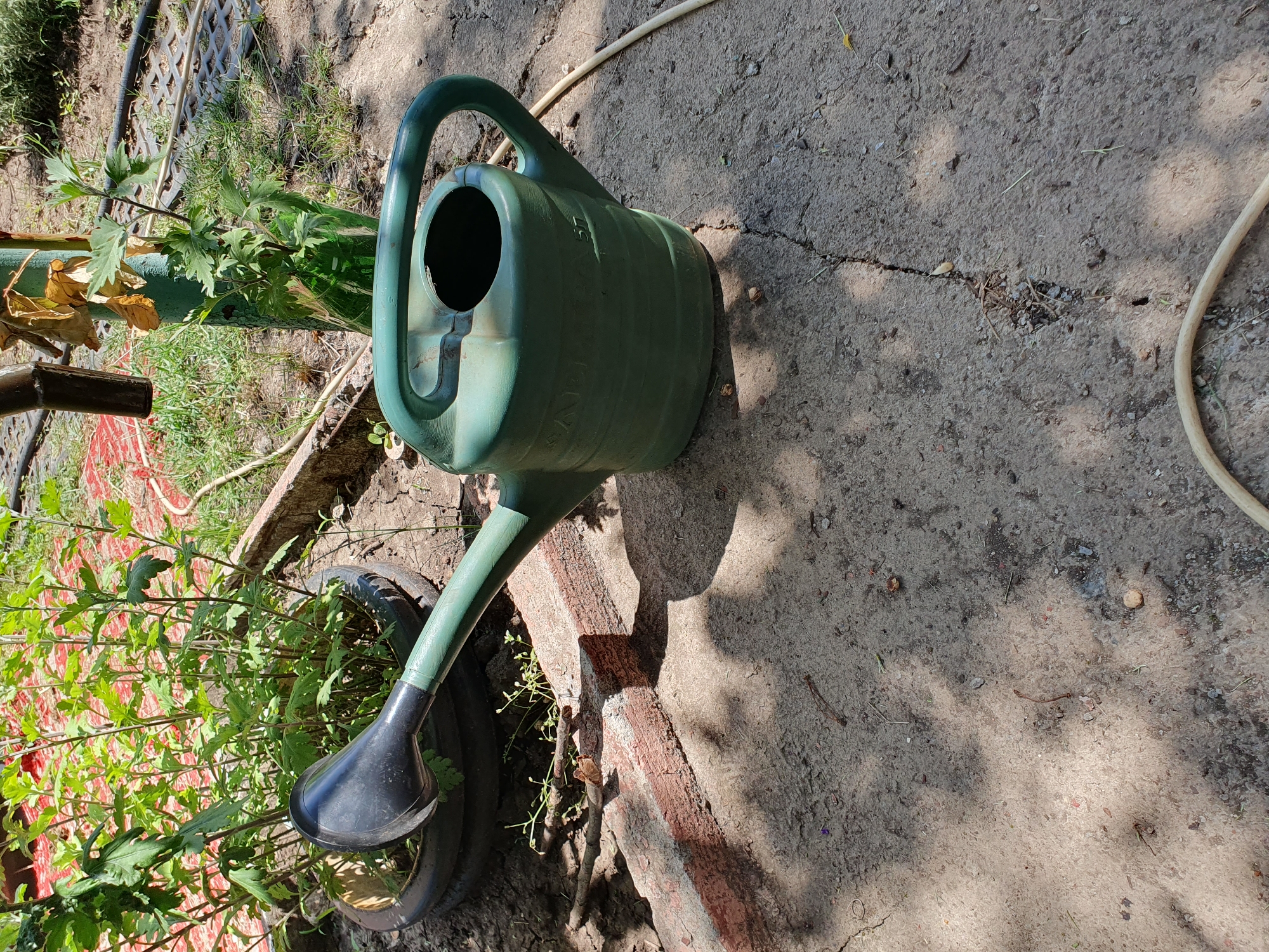 A green watering can with a black spout sits on a cracked concrete surface. The watering can is positioned to the right of a large potted plant with lush green foliage. Behind the plant, a red tarp is partially visible. The environment appears to be outdoors, likely in a garden or yard, with loose soil and dry grass surrounding the concrete area. A light-colored hose is visible in the lower right portion of the image. The lighting suggests it is a sunny day, with distinct shadows cast by the plant and watering can. The scene is located in the city of Novoivanivka, Ukraine. There are no people visible in the image.