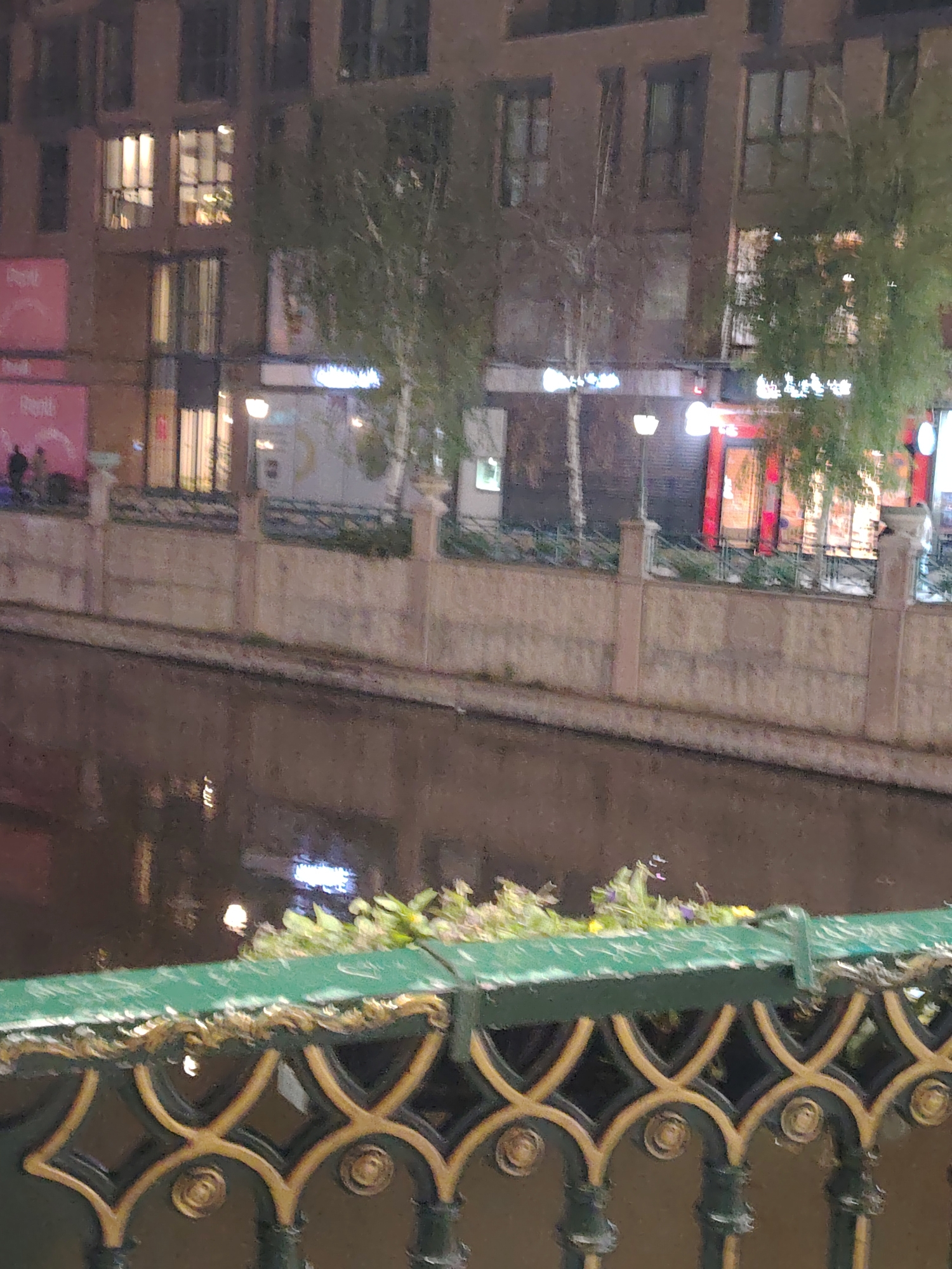 The original image and provided crops depict a nocturnal urban scene along a canal in Eskisehir, Turkey.
In the foreground, an ornate green and gold metal railing, likely part of a bridge or promenade, stretches across the bottom of the frame. Small plants and sparse flowers grow in a planter on the railing. The dark, still water of a canal occupies the middle ground, reflecting ambient lights from the opposite bank.
Beyond the canal, multi-story buildings with numerous illuminated windows line the waterway. Their ground floors house various commercial establishments, indicated by illuminated shop signs and storefronts. Several streetlights cast pools of light along the pedestrian walkway. Bare or sparsely leafed trees are visible along the bank and in front of the buildings, with one tree on the right showing more foliage.
On the far left, a large pink billboard displays blurry white text, possibly including "FEST". A few indistinct figures of people are visible near it. Other shop signs are also illuminated, but their text is unreadable. The time of day is clearly night, as indicated by the dark sky and pervasive artificial lighting. The scene conveys a quiet, atmospheric urban night.
