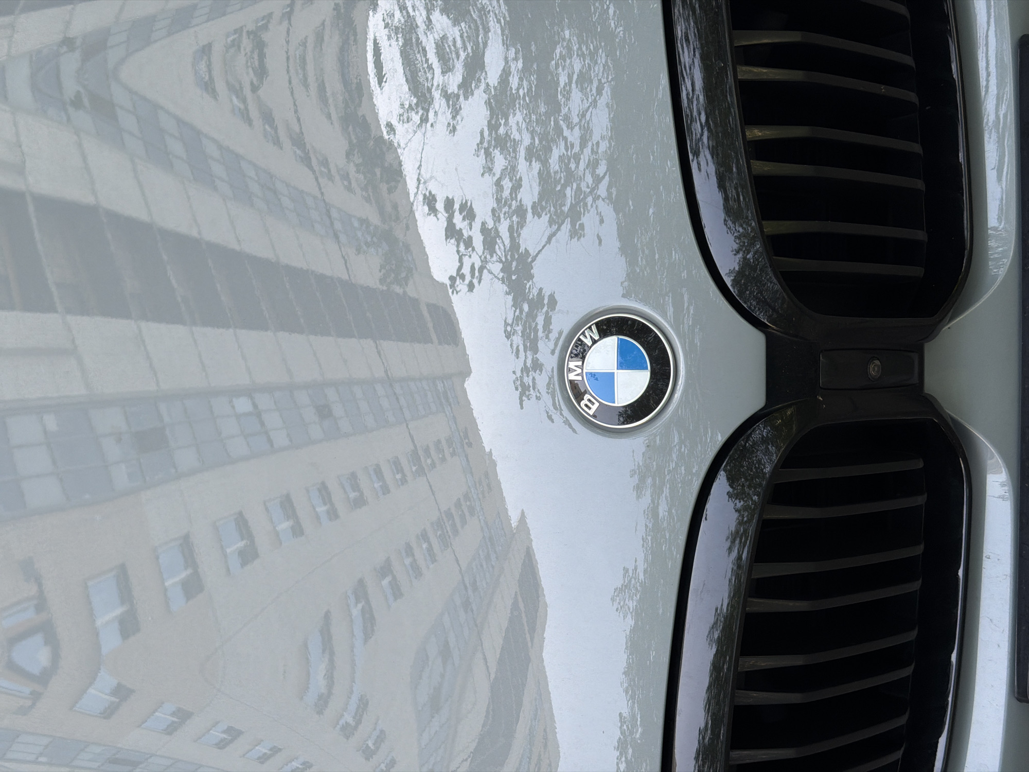 The image shows the hood of a light-colored BMW car, reflecting a tall building with numerous windows. The BMW logo is prominently displayed in the center of the hood, and part of the black grill is visible on the right. The building reflection suggests an urban setting. There are additional tree branch reflections on the hood, potentially suggesting a park or street with trees nearby. There is no conclusive evidence to determine the image was taken in St. Petersburg, Russia. The picture gives no information that would indicate subjects, objects, actions, or interactions are occurring in the scene besides the car and building being in proximity to one another.