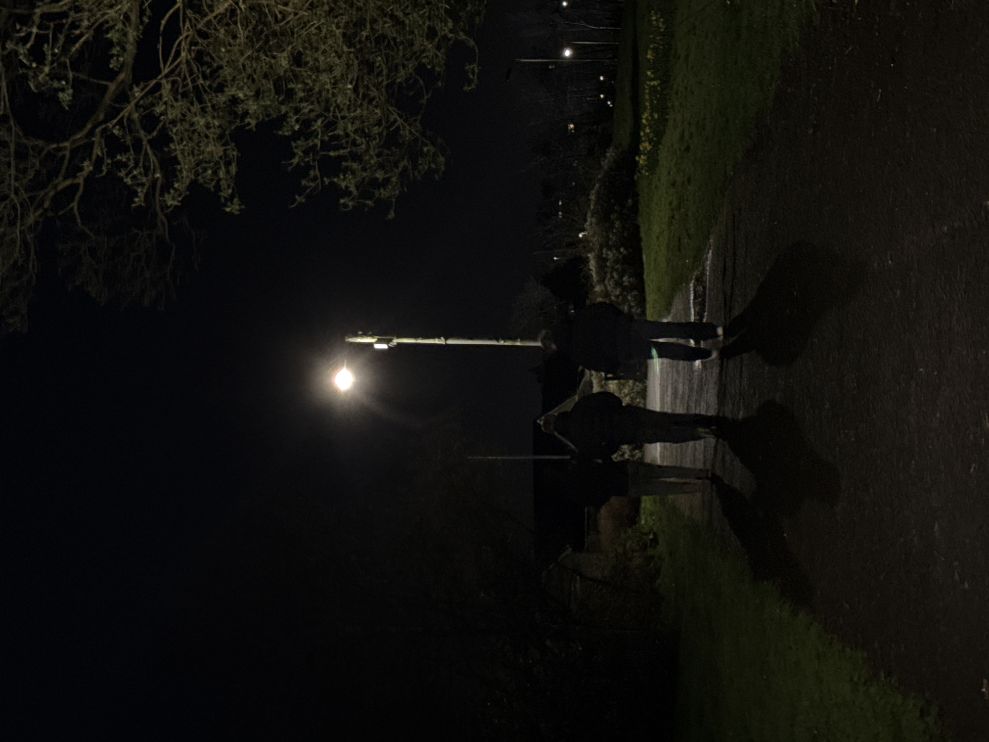 At night in Unknown, Unknown, two people are walking on a paved path next to a grassy area. A streetlight illuminates the scene, casting long shadows of the people on the path. Trees and bushes are visible in the background and on the sides of the path.