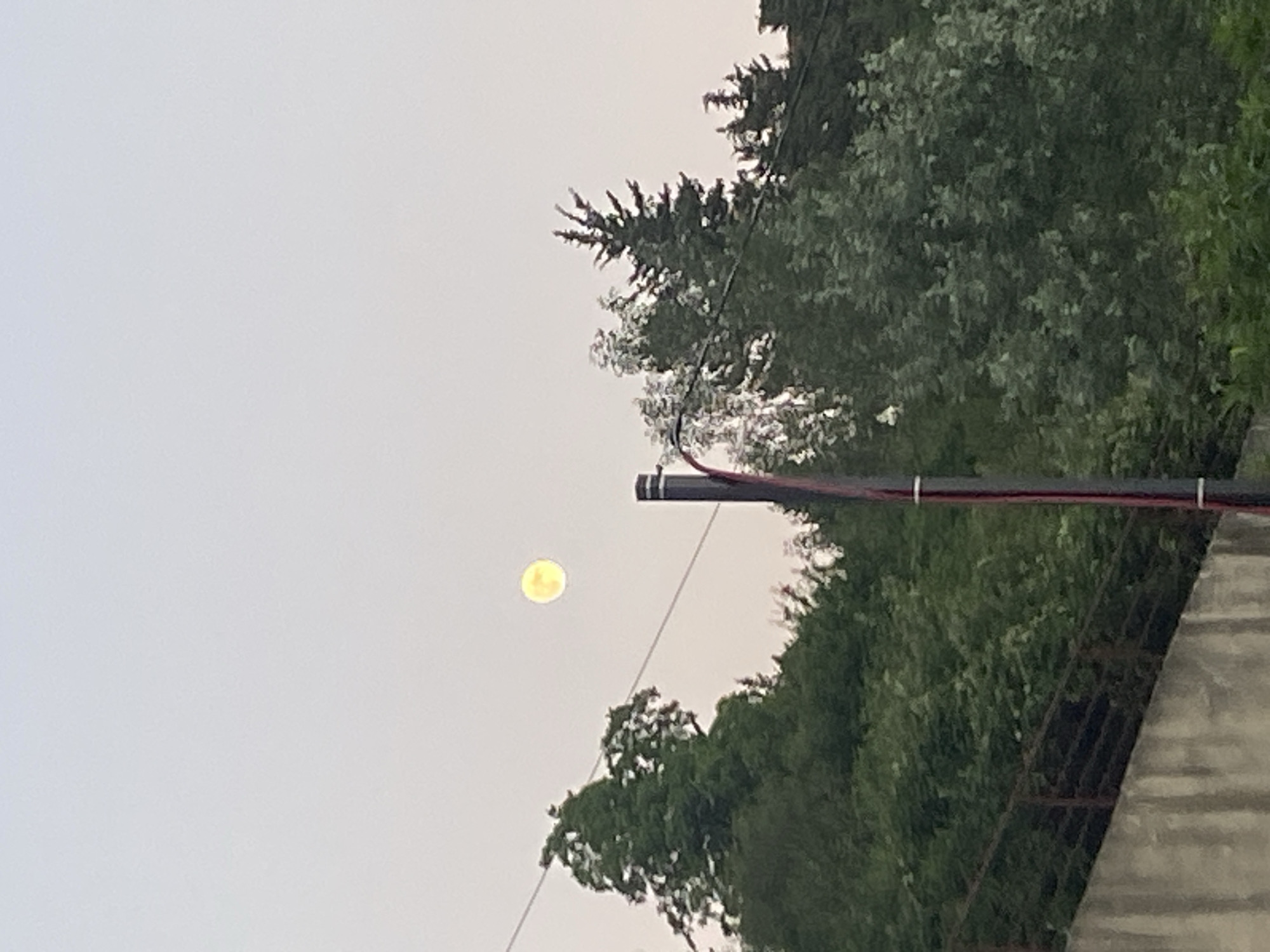 The image shows a dusky sky with a pale yellow moon visible in the upper left quadrant. Dense green foliage from trees dominates the right side and the background. A dark, cylindrical pole with some red and black cables attached runs vertically through the mid-right of the frame. Below the trees, a concrete structure with a slatted railing is partially visible on the right. The scene appears to be outdoors, possibly in a residential or natural area. The lighting suggests it is either dawn or dusk, with the sky being overcast or hazy, as there are no strong shadows. The overall mood is calm and serene, with the moon and greenery creating a natural landscape. No people or text are visible in the image.