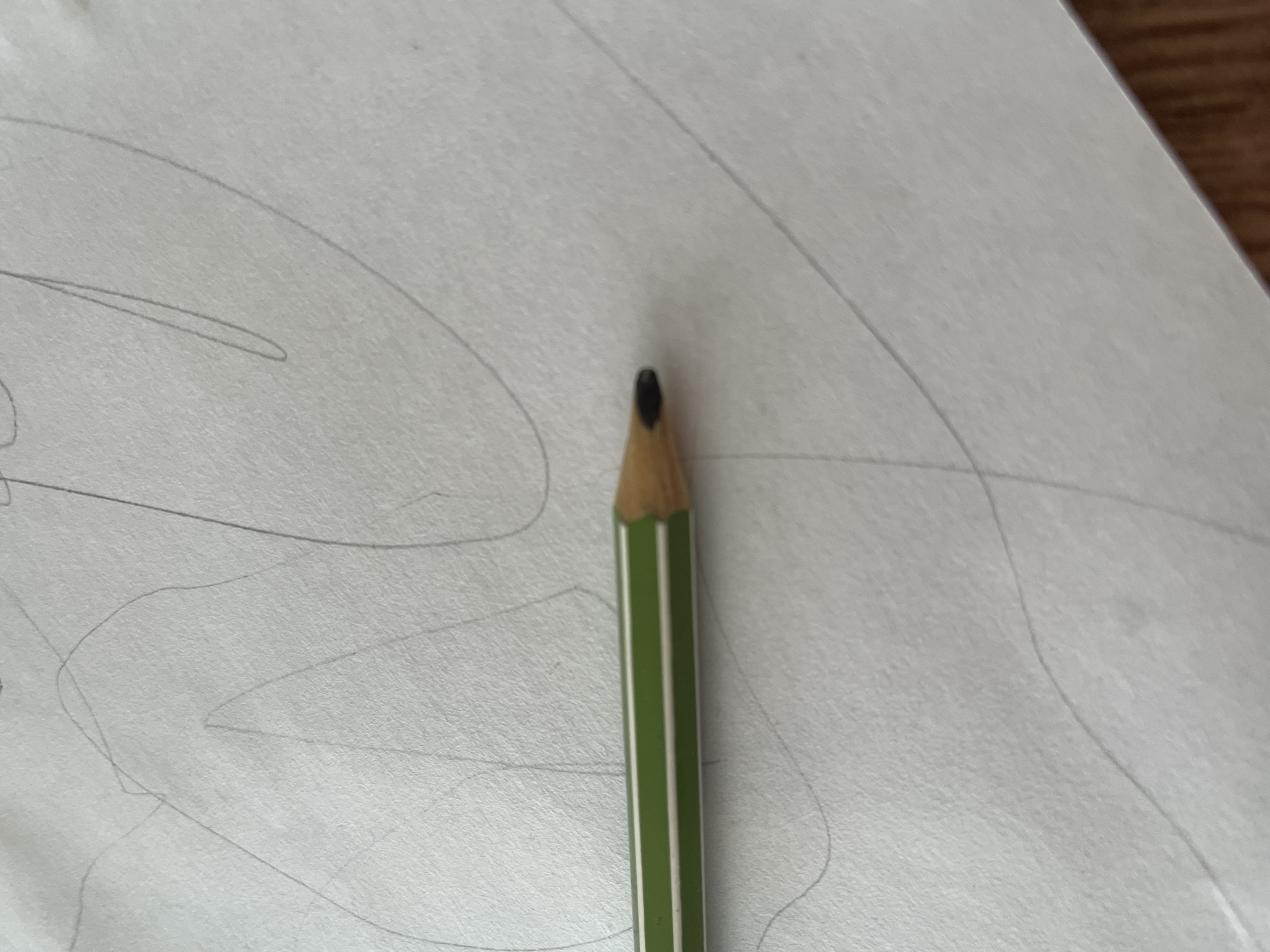 The image shows a close-up of a green and white striped pencil lying on a piece of paper with faint pencil markings. The pencil is oriented horizontally, with its sharpened tip pointing to the right. The paper appears to be textured and has several light grey, scribbled lines drawn on it, suggesting an artistic or drafting context. The lighting is even, highlighting the texture of the paper and the details of the pencil. There are no people or specific landmarks visible in the image, and therefore no context related to the city of Il'ino, Russia can be inferred.