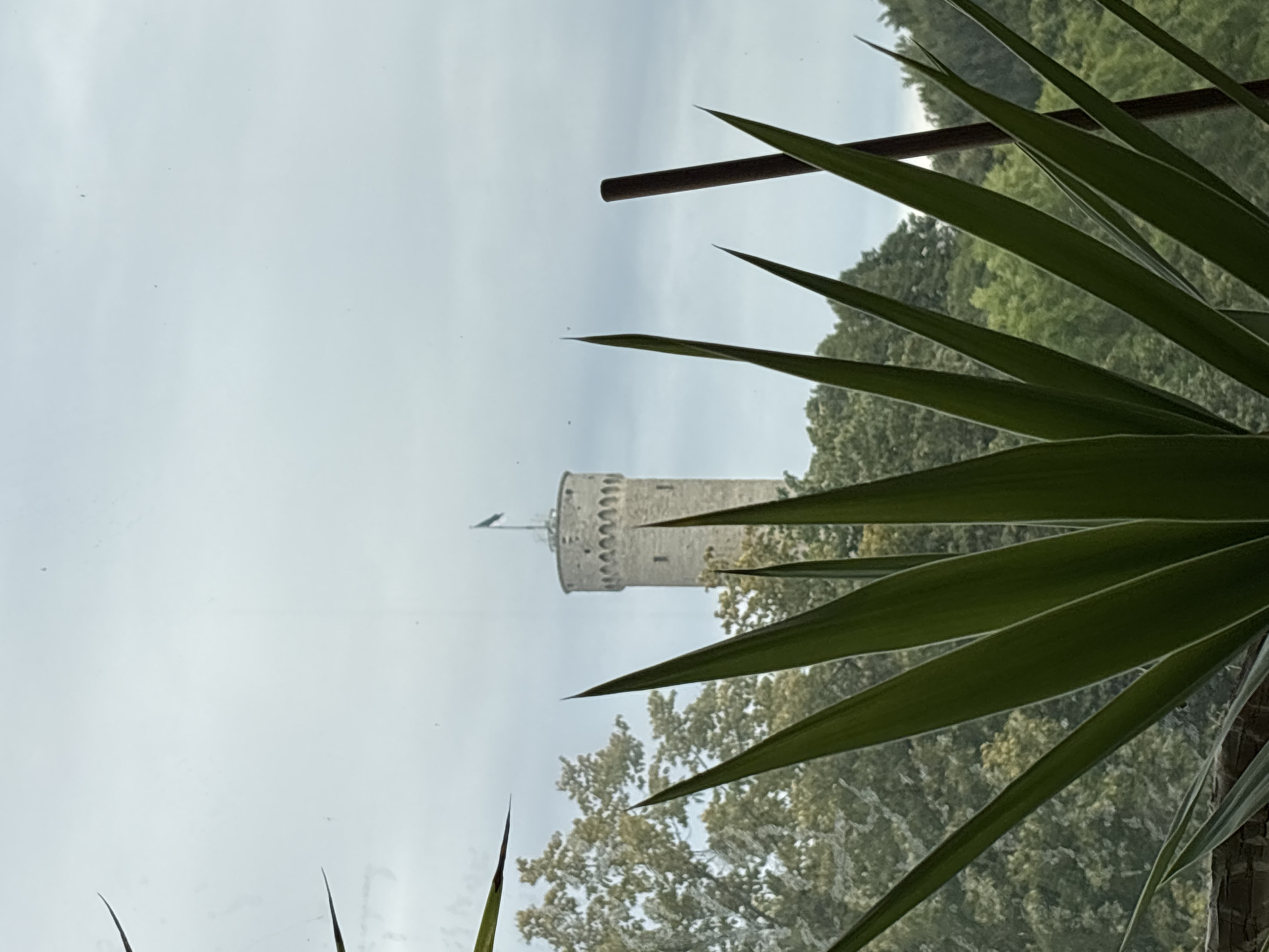The image depicts a view of the Water Tower in Tallinn, Estonia, through a window. The tower is a cylindrical stone structure with a crenellated top and a flag flying from its summit. It is surrounded by lush green trees, and in the foreground, sharp, spiky green leaves of a plant partially obscure the view. The sky is overcast, and a dark vertical rod is visible to the right of the tower, also in the foreground. The overall impression is a somewhat hazy, naturalistic scene with a historical landmark as the focal point.