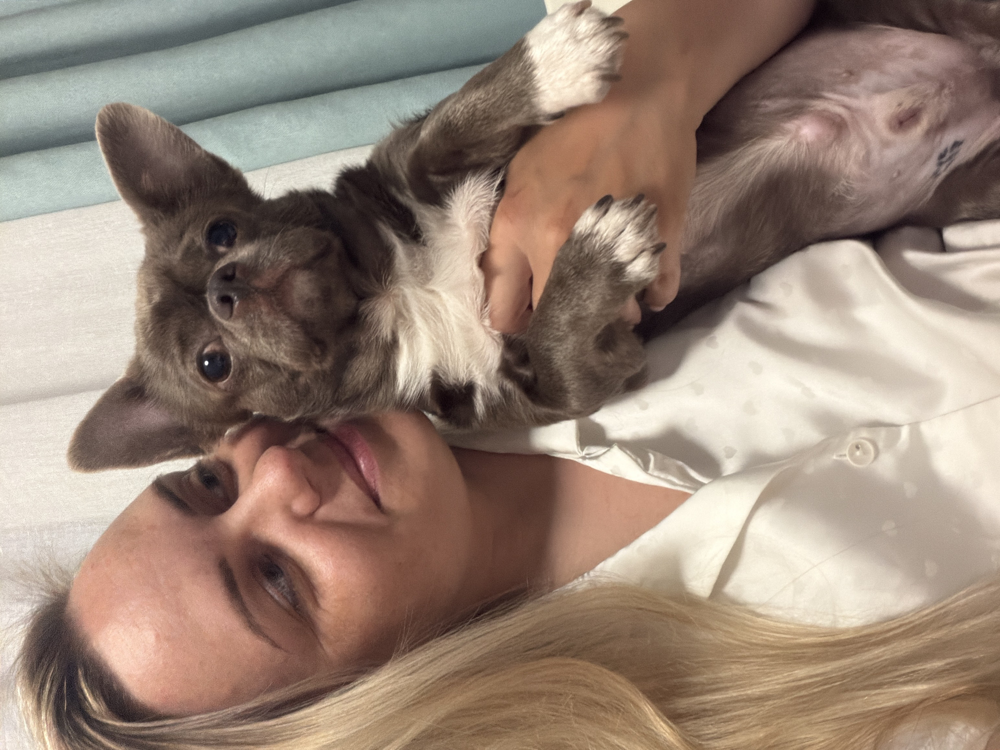 This indoor image presents a blonde female affectionately holding a small, brown dog against a backdrop of draped fabric. The female, visible from the chest up on the left, has long, straight blonde hair and light skin. She displays a soft smile, her gaze directed downwards and to her right, and is wearing a light-colored (likely white or off-white) collared button-up shirt featuring a subtle, repeating heart pattern. Her right hand supports the dog from underneath. The dog, positioned in the center and right, has short, dense brown fur with prominent white markings on its chest and all four paws. It possesses large, triangular, upright ears and dark, round eyes, looking directly towards the viewer with a short snout. The interaction shows the woman holding the dog closely, with her face near the dog's head. The background consists of two vertical panels of textured fabric, the left being a light off-white or grey and the right a muted light blue or teal. The lighting is soft and appears to be artificial indoor illumination. The scene is situated in the city of Votkinsk, Russia.