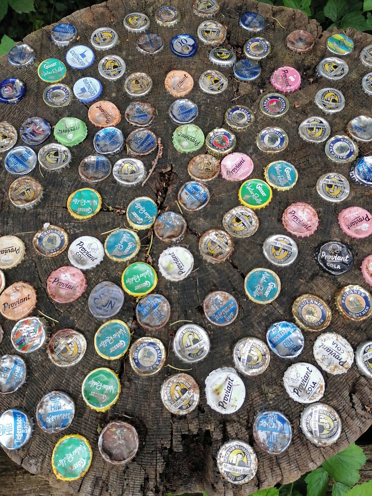 The image shows a collection of approximately 75 beer bottle caps scattered across the surface of a weathered tree stump. The caps are of various colors and designs, suggesting different brands and types of beverages. Some caps are metallic and shiny, while others appear to be made of plastic and are more worn. The tree stump is rough and textured, with visible wood grain and some mossy or dark patches. The background consists of blurred green foliage, indicating an outdoor setting. The scene does not depict any people or actions, and there is no explicit indication of its location in Munich, Germany.