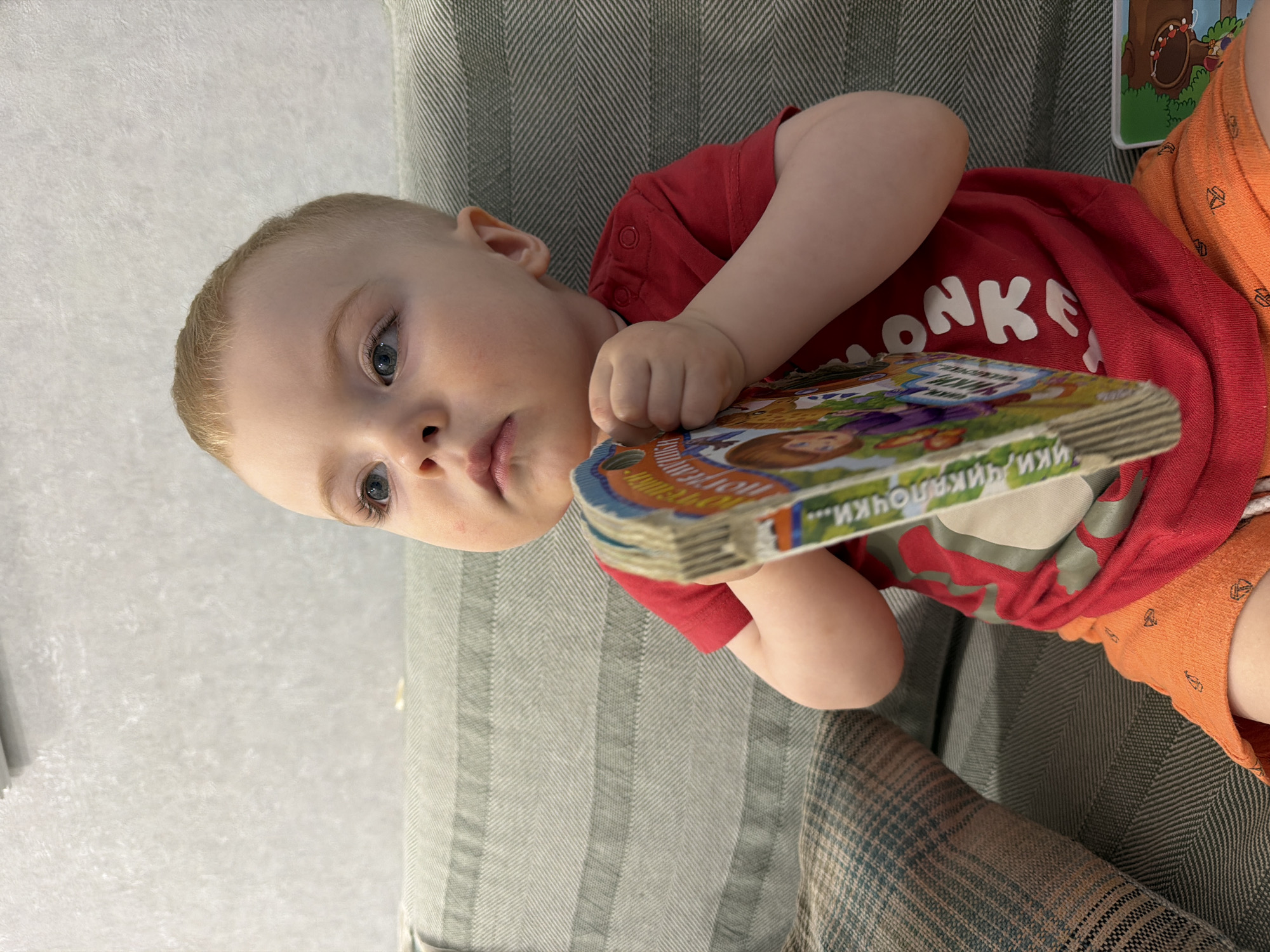 A young child, likely a toddler, with light hair and blue eyes, is captured in a close-up, eye-level indoor shot. The child is lying on their side, propped on an arm, and holding a colorful, open children's book. Their expression is attentive and slightly pensive as they look towards the camera.
The child wears a red short-sleeved t-shirt with part of a white word, "ONKE", visible on the chest, suggesting "MONKEY" or a similar playful text. They also wear orange shorts with a subtle pattern. The book has numerous illustrations and visible Cyrillic text on its pages and spine. Fragments like "ИКИ", "КИЙ", "КИ", and "ПОЛОЧКИ" are discernible on the open page.
The background shows a textured gray-green fabric, indicative of a couch or upholstered chair, where the child is resting. To the upper left, a light-colored, textured wall or surface can be seen. In the lower right corner, a plaid-patterned fabric, possibly a blanket, adds another textural element to the scene. The lighting suggests a bright indoor setting, likely during the day. The image captures a quiet moment of a child engaged with a book, set in what appears to be a comfortable home environment in Votkinsk, Russia.