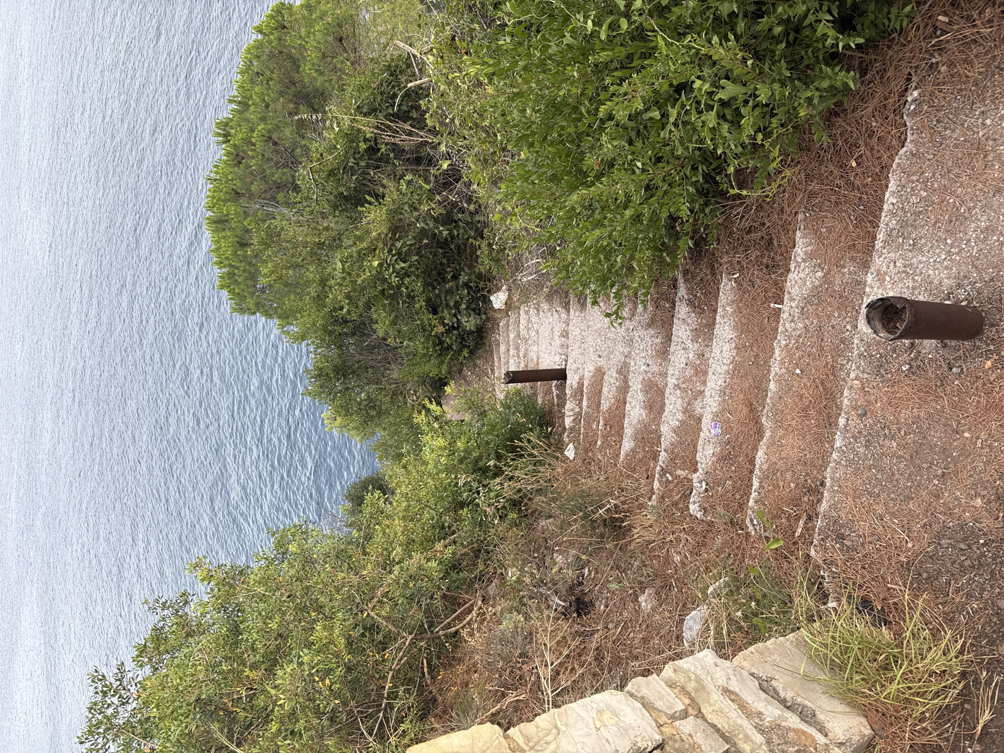 The image shows a descending concrete staircase in Mirište, Montenegro, leading towards a body of water. The staircase is partially overgrown with dry vegetation and pine needles. On the left side of the stairs, there is a stone wall. There are two dark, cylindrical objects, possibly metal posts, planted in the ground alongside the stairs. Dense green foliage flanks the staircase on both sides, with a clear view of the blue water and the horizon in the background. The scene appears to be an outdoor, natural setting.