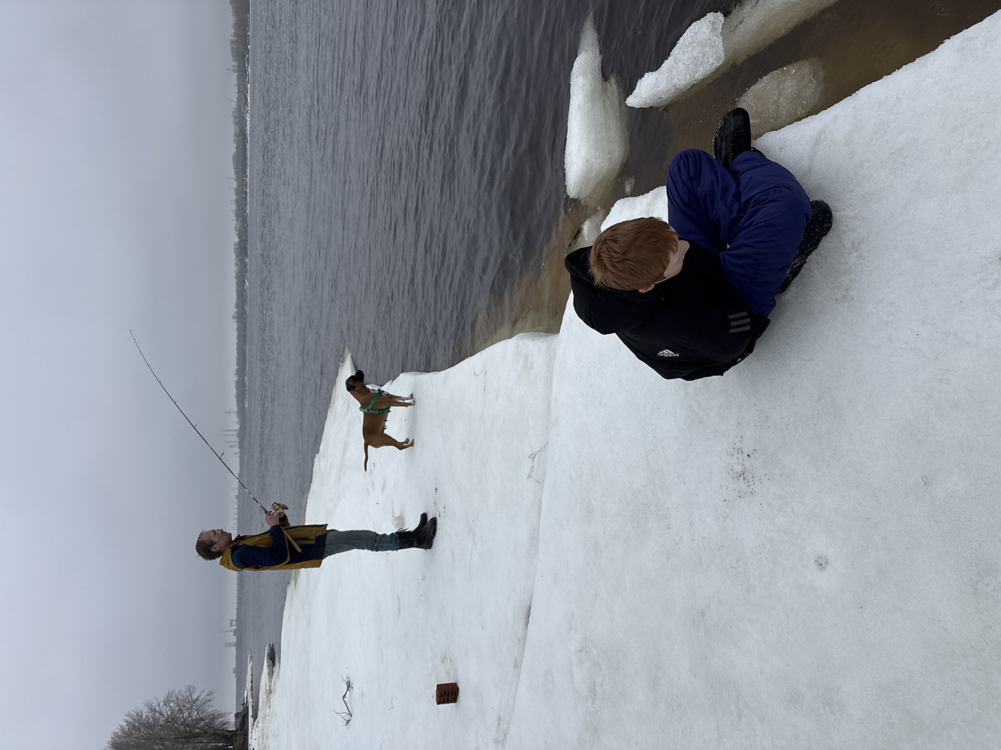 The image shows an outdoor scene on a snowy bank, possibly in the city of Chaikovsky, Russia, given the prompt. A man is fishing with a rod, while a dog stands near him on the snow. A boy is sitting on the snow, near the water's edge. The sky is overcast, and the water is dark. The bank is covered in snow, with ice formations along the edge.