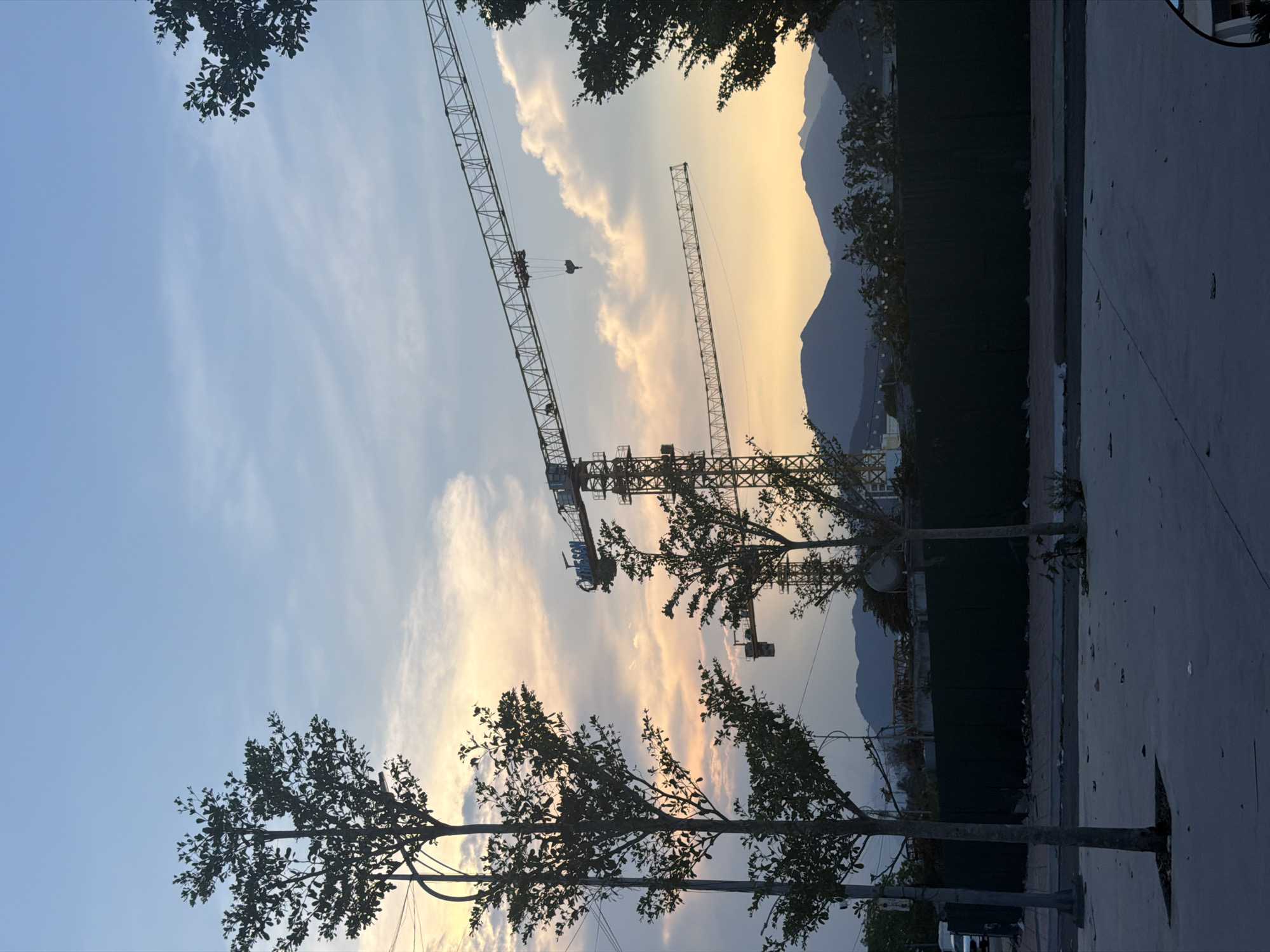 The image depicts a view in Nha Trang Ward, Vietnam, at what appears to be either dawn or dusk, indicated by the light in the sky. Two construction cranes are prominent against the sky, appearing silhouetted. In the background, mountains are partially visible. In the foreground, several trees line the edge of what appears to be a sidewalk or road, which takes up a portion of the right side of the frame. The scene suggests urban development or construction activity occurring in the area.