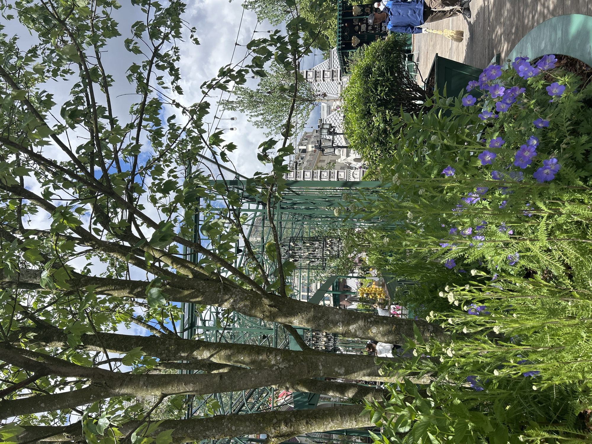 The image shows a view in an urban setting, likely a park or garden, in the city of Unknown, Unknown. In the foreground is a tree with branches extending across the frame. The foliage is green, and the bark is textured and grayish-brown.
Behind the tree, there's a structure, possibly a pergola or framework for climbing plants, made of green metal. This structure leads the eye towards a building in the background, which appears to be a multi-story building with a distinctive architectural style, including decorative windows and a patterned roof.
To the right of the structure and slightly behind the tree, there is a flowerbed with purple flowers and greenery. Further to the right, there's a wooden walkway, and a person in blue is walking on it. The ground near the walkway appears to be covered with wood chips.