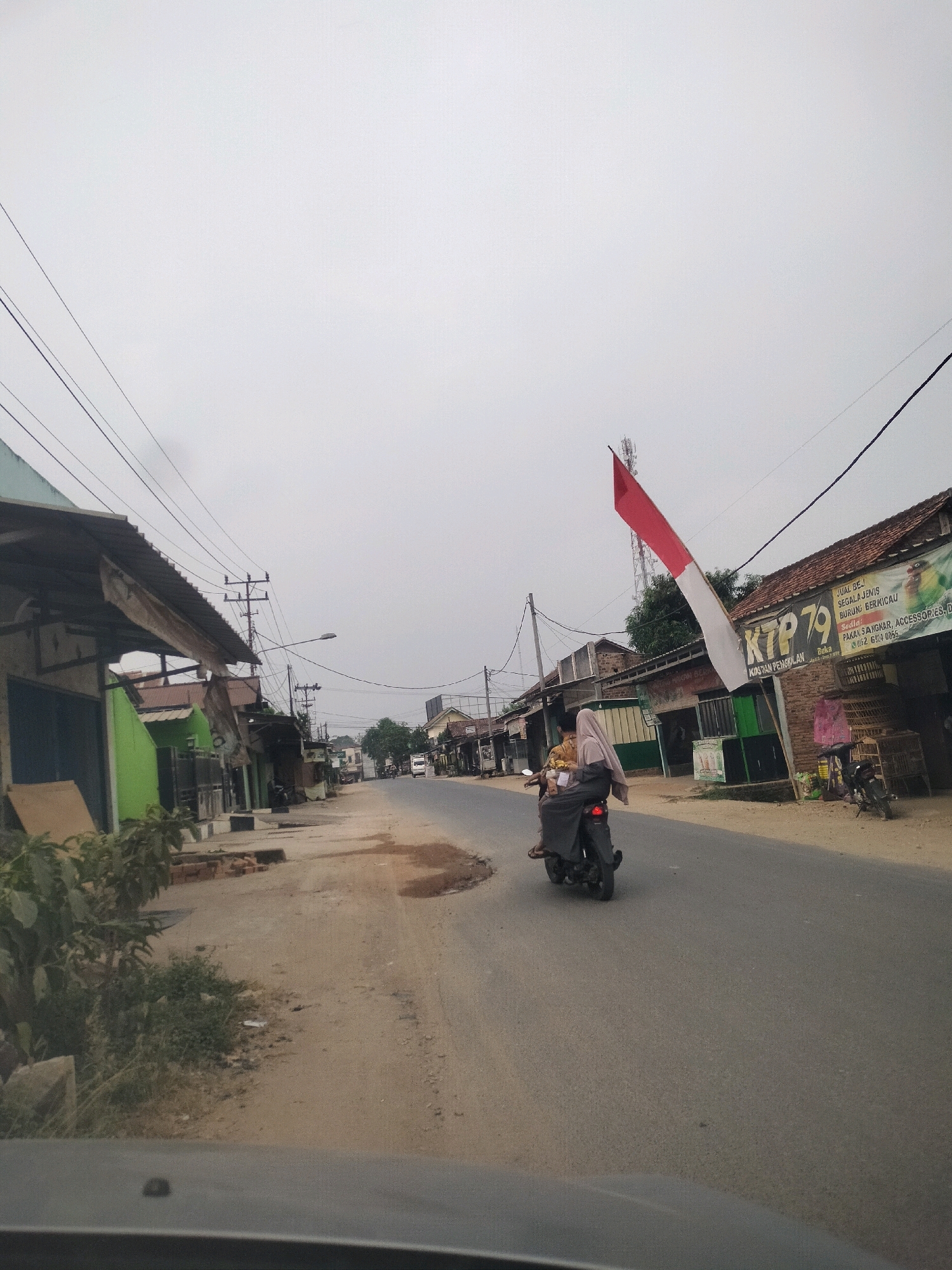 This is a forward-facing, eye-level, slightly low-angle, medium-shot photograph taken in Kali Rejo, Indonesia, on an overcast day. The scene depicts a two-lane asphalt road in what appears to be a semi-urban or rural commercial area. On the left side of the road, a row of low-rise buildings with corrugated metal roofs and awnings lines the street. Some of these structures appear to be shops, with one painted green and another with a weathered, light-colored facade. Overgrown vegetation and exposed brick are visible along the roadside.
On the right side of the road, a similar configuration of buildings is present. One building prominently features a large red and white Indonesian flag attached to a pole, with text in Indonesian that translates to "KTP 79" and "JUAL BEI SEGALA JENIS BURUNG BERCIAU" (Selling all kinds of chirping birds). A birdcage is visible outside this establishment. Further down the road, more buildings and a parked motorcycle are seen.
In the middle of the road, two individuals, a driver and a passenger, are riding a motorcycle in the same direction as the camera. Both individuals are wearing headscarves, suggesting they are likely Muslim women. The passenger appears to be holding something in their lap. The motorcycle is heading away from the camera. In the distance, a white van is traveling in the same direction, and a tall telecommunications tower is visible against the sky. The overall impression is a snapshot of daily life on a street in Kali Rejo, Indonesia.