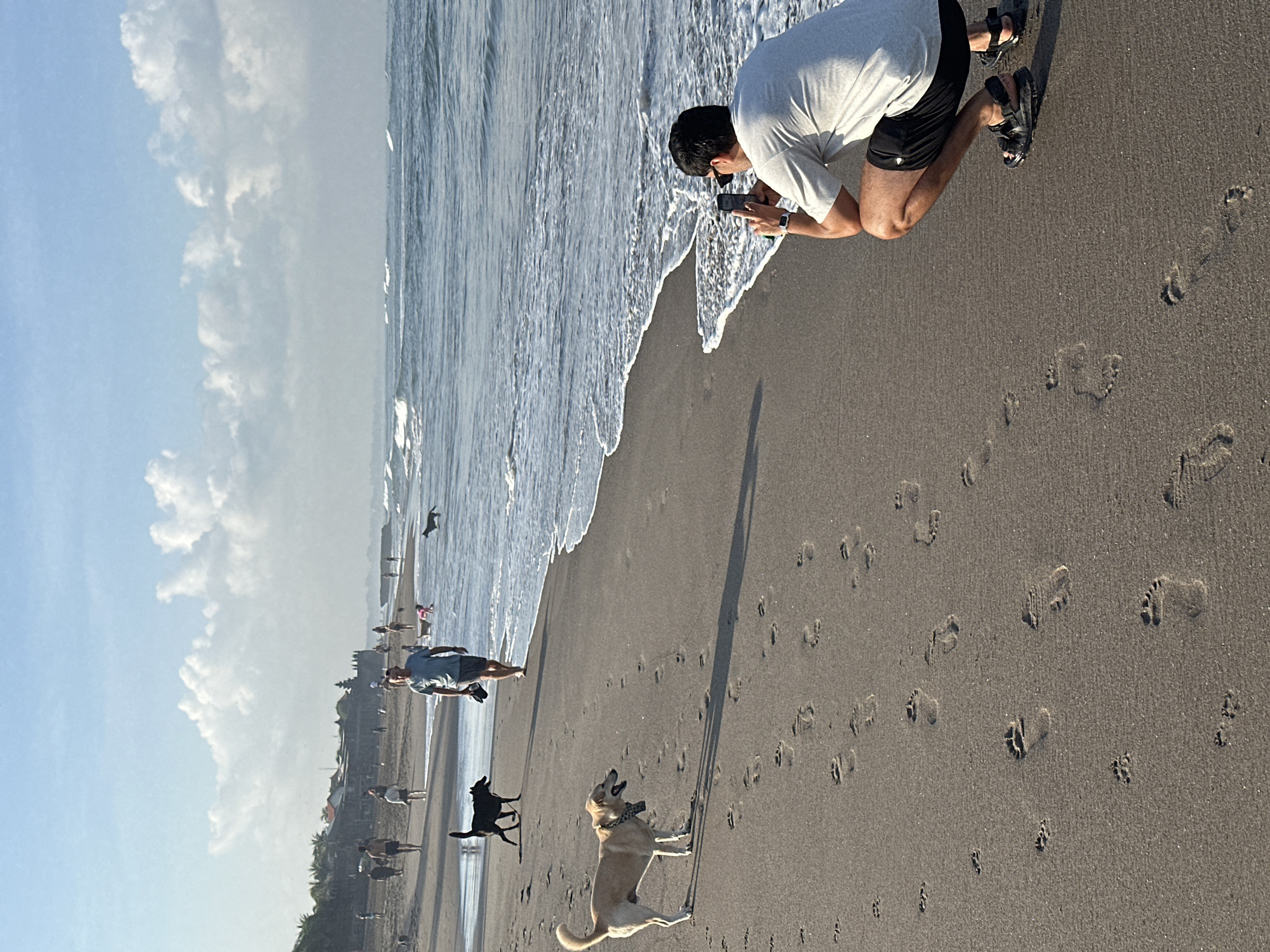 A man crouches on a sandy beach in North Kuta, Indonesia, taking a photo with his phone of two dogs walking near the ocean. The sun is low in the sky, casting long shadows across the sand, and the waves are gently rolling in. In the background, other people and dogs are visible walking along the shore. The sky is a soft blue with scattered white clouds, and the ocean is a muted gray-blue. The scene appears to be calm and serene, with a focus on the natural beauty of the beach and the interaction between the people and animals.