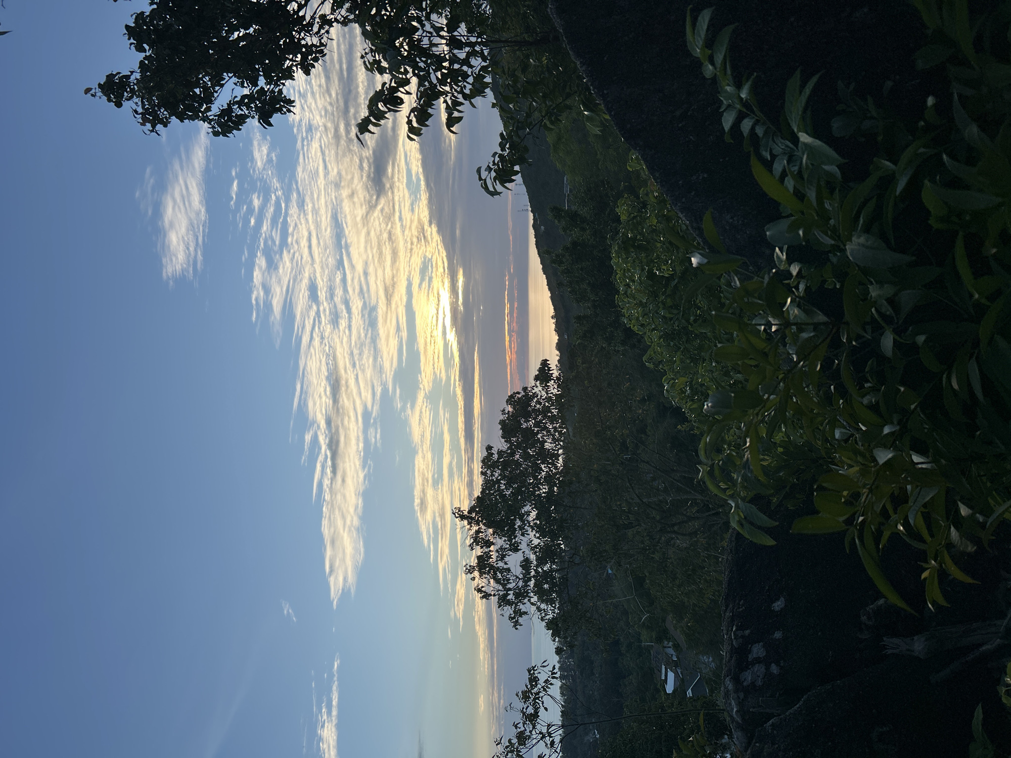 A landscape image taken at dusk shows a panoramic view of the sea and the sky from a high vantage point. The sky is a gradient of blue with scattered white and golden clouds, suggesting the sun is setting or rising near the horizon. The sea is visible in the distance, reflecting the colors of the sky. In the foreground and mid-ground, dense green foliage and trees create a natural frame for the scene. Some dark, large rocks are also visible in the lower portion of the image, adding a rugged element to the natural landscape. The image appears to be taken in a tropical or subtropical environment. The location is described as ตำบลเกาะพะงัน, Thailand, which is known for its natural beauty, including beaches, mountains, and lush vegetation, consistent with the visual elements in the photograph. No people or specific actions are depicted. The overall impression is one of natural tranquility.