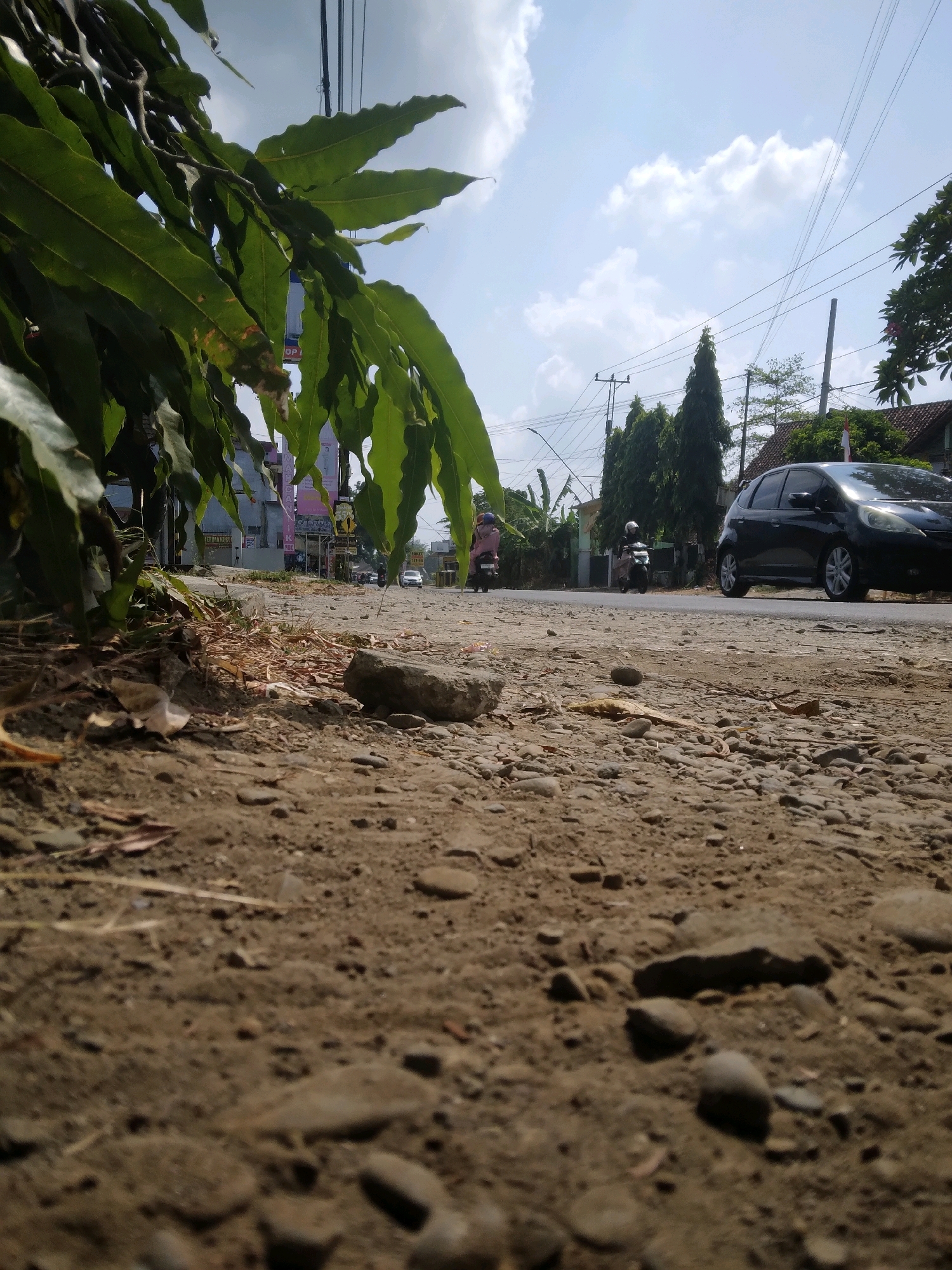 The image is an outdoor, low-angle shot on a sunny day in Desa Pamijen, Kecamatan Sokaraja, Indonesia. In the foreground, the rough, sandy ground is littered with small rocks and dry leaves. A large green leafy plant is visible on the left, partially obscuring the view of the background. The middle ground shows a paved road with some traffic. A black car is driving on the road, and two motorcycles are also visible, each with a rider. In the background, there are several buildings, including houses with tiled roofs and what appear to be small shops or businesses with signs. Tall, slender trees and utility poles with overhead wires are also present, contributing to the urban or semi-urban setting. The sky is blue with scattered white clouds. The scene depicts a typical street view in a village or small town in Indonesia.
