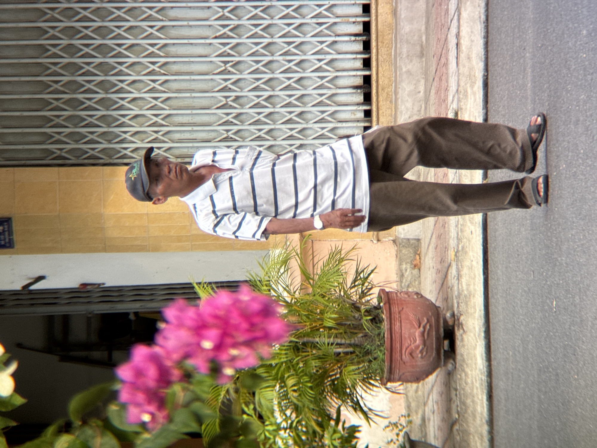 A middle-aged Vietnamese man wearing a dark baseball cap, a white and blue striped polo shirt, and brown pants walks along a paved street in Nha Trang, Vietnam. He is wearing black sandals. To his right is a large metal gate, which appears to be a security gate for a building. To his left, in the foreground, is a large terracotta pot containing a green plant with pink flowers. The plant is in bloom. The background shows a building with yellow tiled walls and a light-colored wall. The man is walking towards the viewer's right. He is not interacting with anyone. The scene is outdoors during daylight.