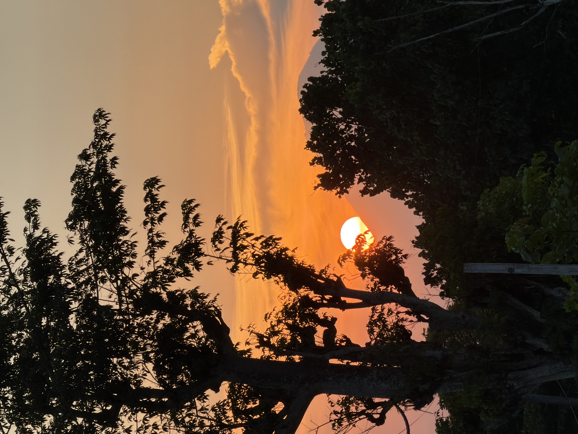 This photograph captures a sunset over Wotgalih, Indonesia. In the foreground, a large, silhouetted tree with dense foliage dominates the left side of the frame. To the right, a mountain peak, also silhouetted, is visible in the distance, partially obscured by more trees. The sun, a bright orb, is setting behind the mountain and trees, casting a warm, orange glow across the sky. Wispy clouds are scattered across the upper portion of the sky, catching the sunset light. The overall scene is one of natural beauty and tranquility, with the landscape bathed in the soft, fading light of dusk.