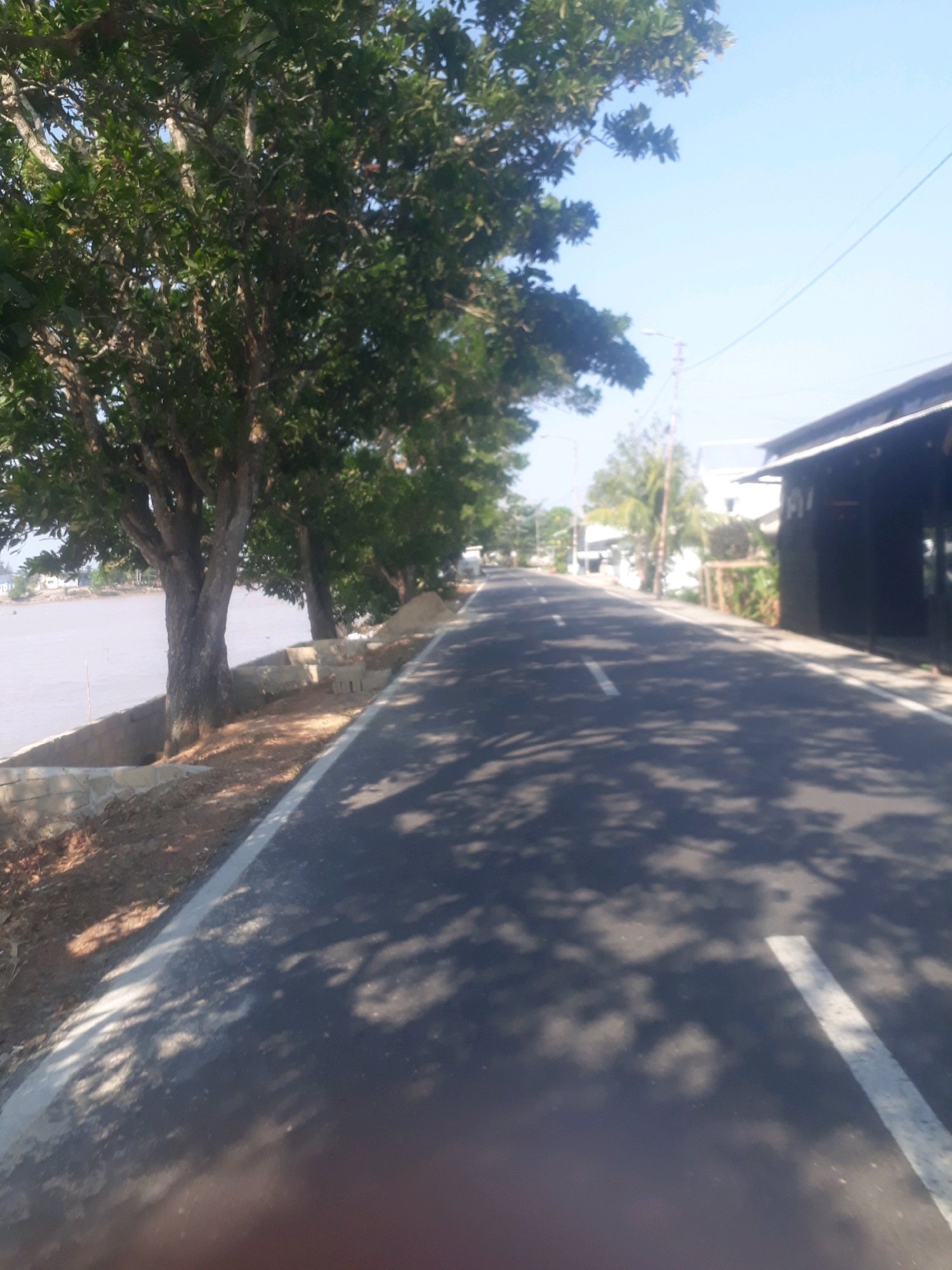 The image captures a sunlit paved road in Pangkalpinang, Indonesia, bordered by trees and a body of water on the left. The road has white lane markings and is partially shaded by the trees, casting dappled shadows on the asphalt. On the right side of the road, a dark-colored building with a sloped roof is visible, partially obscured by foliage. The sky is clear and blue. The scene appears to be a quiet, possibly rural, area on the outskirts of the city, near a waterfront. The presence of the building and the paved road suggests a developed area, while the natural elements like trees and water indicate a connection to the natural environment.