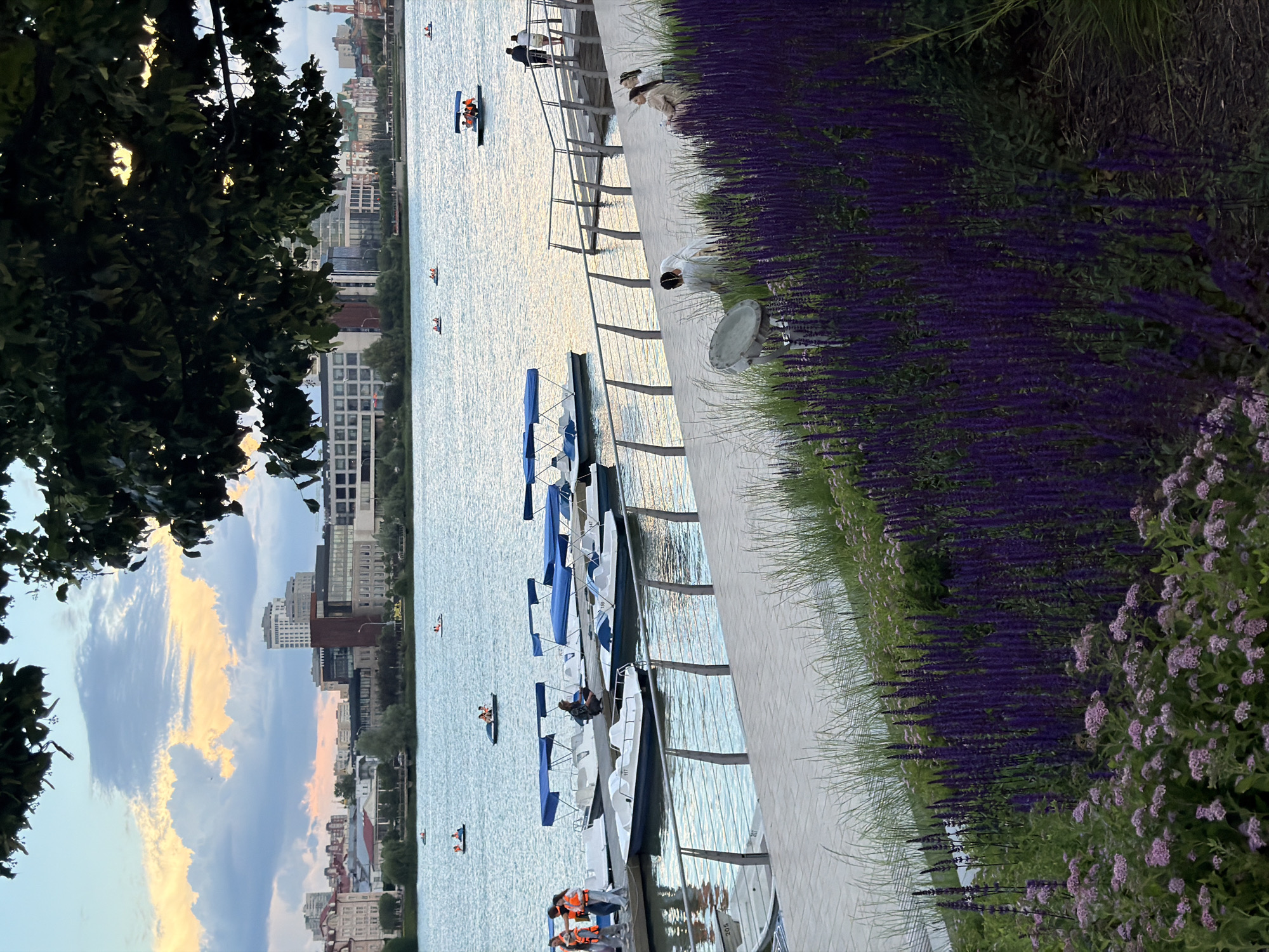 In the city of Unknown, Unknown, a body of water reflects the sky's soft hues of blue and orange, indicative of either dawn or dusk. Several pedal boats, some with passengers wearing life vests, are scattered across the water. Along the edge of the water is a dock with more pedal boats moored. A paved walkway runs parallel to the dock, with a railing separating it from the water. On the walkway, a few individuals are seen, some walking and others seated, enjoying the view. In the foreground, a vibrant display of purple flowers and lush green foliage lines the walkway, with a spotlight visible among the plants. In the background, city buildings rise against the sky, suggesting an urban setting. A large tree's branches with green leaves partially frame the top of the image.