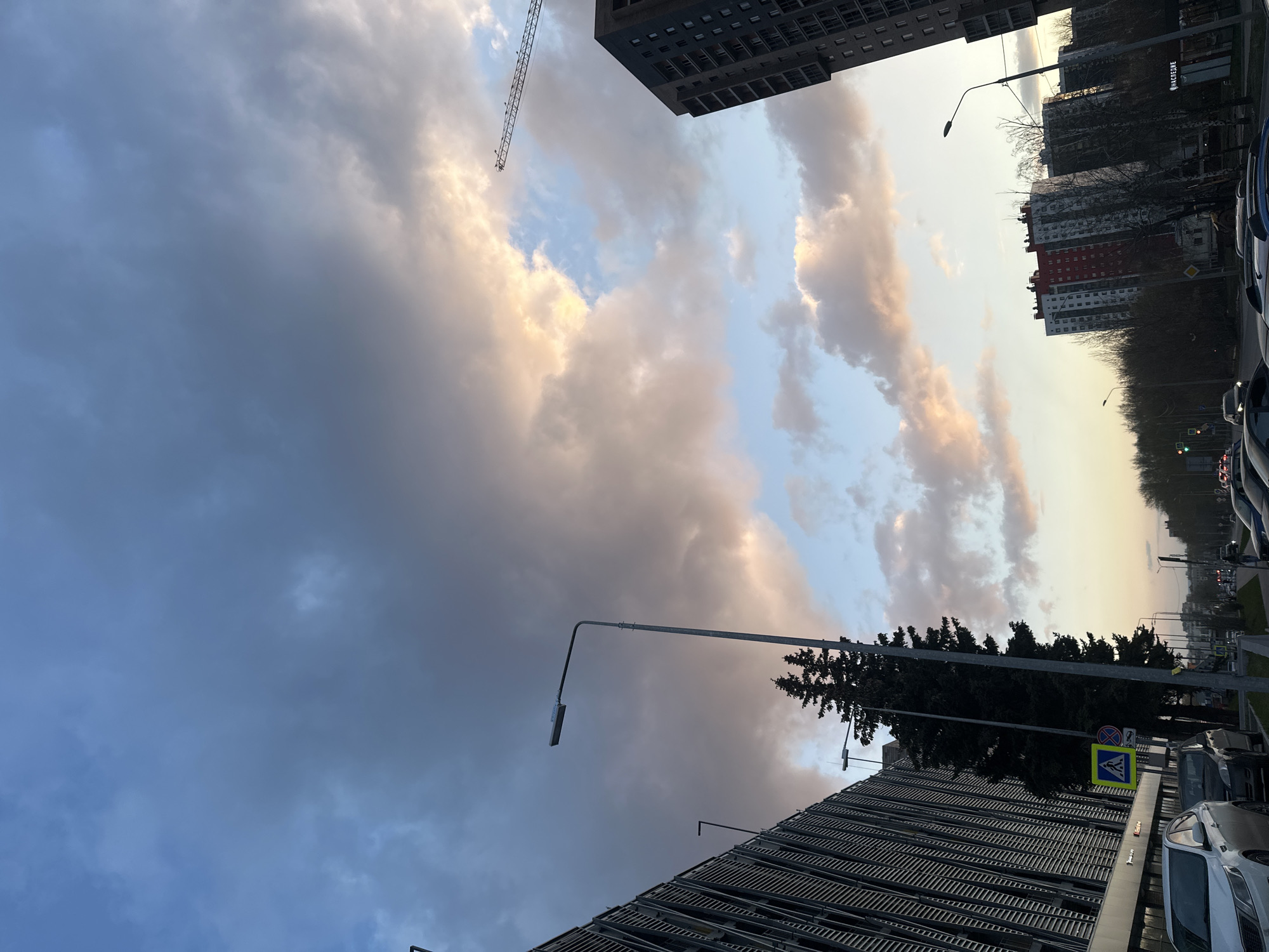This image depicts an urban street scene in Kazan, Russia, under a dramatic sky during what appears to be either late afternoon or early morning. The sky dominates the upper portion of the frame, filled with large, textured clouds in shades of grey, blue, and warm golden-pink, illuminated by the low sun.
On the left, a tall, dark, modern building with many windows stands prominently, with a construction crane extending nearby into the sky. Further down the street on the left, bare deciduous trees line the road. On the right side, a multi-story building featuring red and white sections is visible in the distance. In the foreground on the right, a large building with a slatted or textured facade, possibly a parking garage, occupies the lower portion of the frame. Adjacent to this building are dense, dark coniferous trees.
Several streetlights or lampposts are scattered throughout the scene, with one large, curved lamp prominent in the lower left foreground. Road signs, including a blue square pedestrian crossing sign and a circular prohibitory sign, are visible near the coniferous trees. Cars are parked along the street, including a white SUV in the immediate foreground on the right. A traffic light is visible in the distance on the right.
No people are distinctly visible. The weather is partly cloudy, with the sun casting a warm glow on the clouds. Text in Cyrillic, "НАСТОЯЩЕЕ", is visible on a building on the distant left side of the street, likely an advertisement or business name. The overall mood is tranquil, capturing a typical city moment under striking sky conditions.