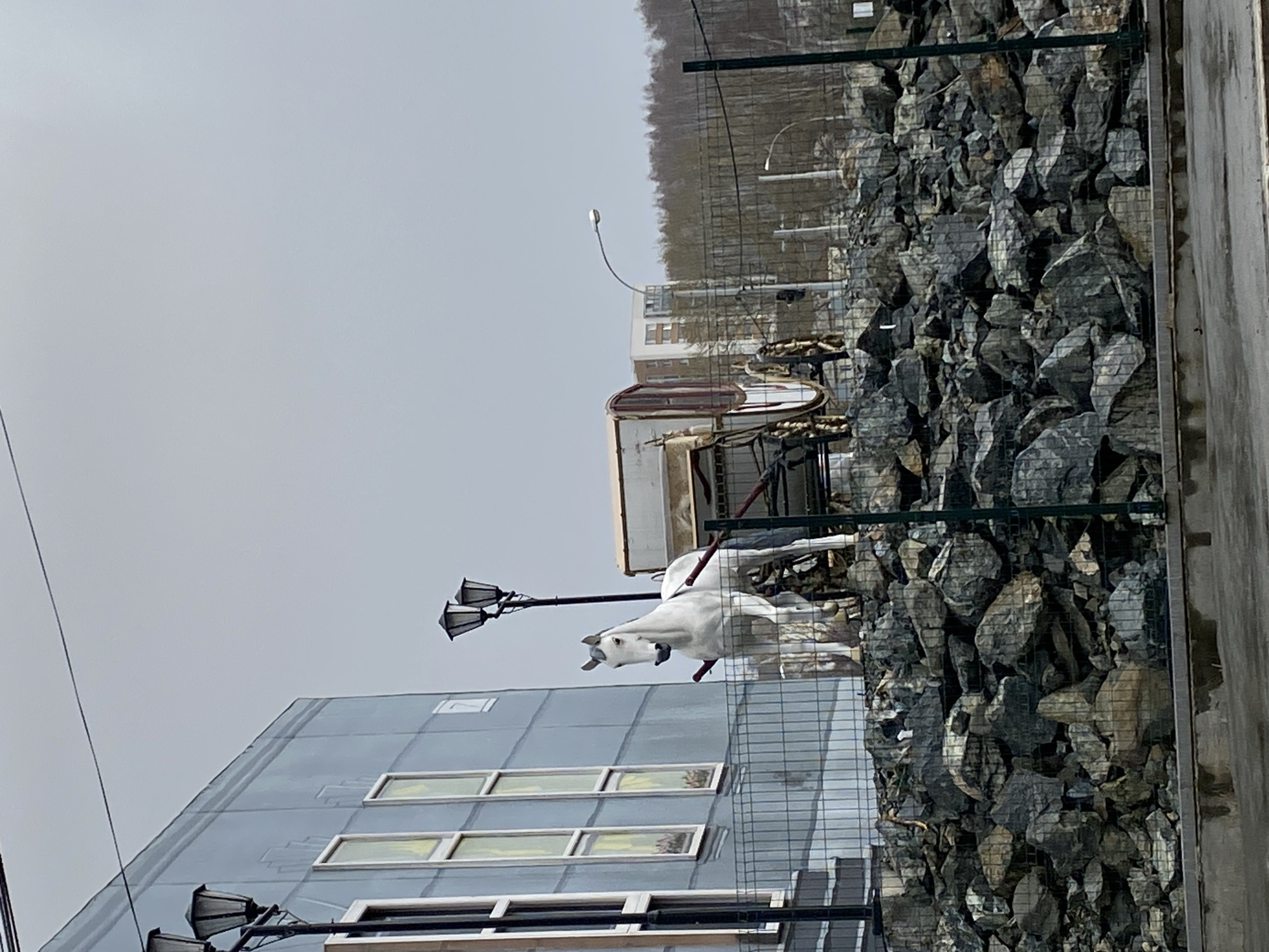 The image displays an urban or industrial landscape under an overcast sky, situated in Yekaterinburg, Russia.
In the foreground to the left, a modern building with a grey, possibly metallic, facade features several rectangular windows, some reflecting a yellowish light. An ornate black street lamp with two light fixtures is prominently positioned in front of this building, and another similar lamp is attached to the building's upper corner.
The most striking subject is a white horse sculpture, depicted in a powerful, rearing pose, appearing to stand on its hind legs. This sculpture is located in front of the modern building, partially behind a wire fence.
To the right, a large embankment or wall composed of numerous grey, angular rocks, possibly a gabion structure, dominates the mid-ground, also enclosed by a wire mesh fence. A grey, paved surface or road runs along the top edge of this rock formation.
In the background, beyond the fence and rocks, a line of bare trees on a gentle slope suggests a wooded area or forest, indicative of a cooler season. Further in the distance, indistinct urban or industrial structures and a tall, curved street light are visible against the uniformly grey sky.
The scene is static, devoid of people, and captures a daytime moment under cloudy weather conditions. No specific event is unfolding, and no visible text can be identified in the image.