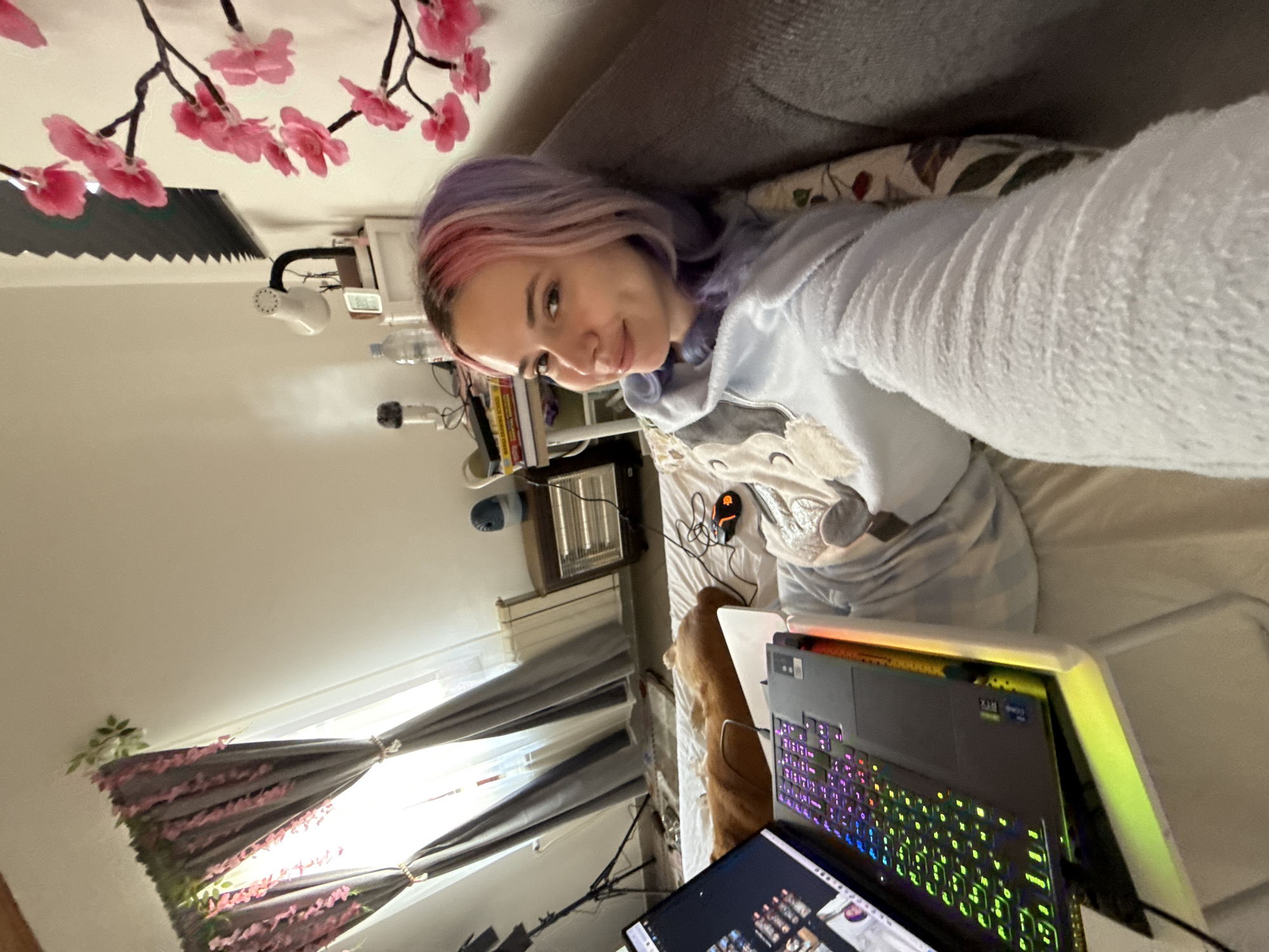 A female individual is depicted reclining on a bed or sofa in a residence located in the City of Zagreb, Croatia. She has split-dyed pink and purple hair and is wearing a light blue, fuzzy hooded loungewear garment, extending her right arm to capture a selfie with a slight smile. A black laptop with a multi-colored illuminated keyboard is open on a white, illuminated bed desk positioned on the bed, alongside a black gaming mouse with orange accents. To the individual's left, a light brown dog is resting on the bed. The background features a window with gray curtains adorned with artificial pink wisteria and green foliage, with a white radiator below. To the individual's right, a white wall is decorated with artificial pink cherry blossoms. A small nightstand holds a white desk lamp, books, a water bottle, a black microphone, and a small electric heater, with a blue and white device on a dark wooden cabinet further right.